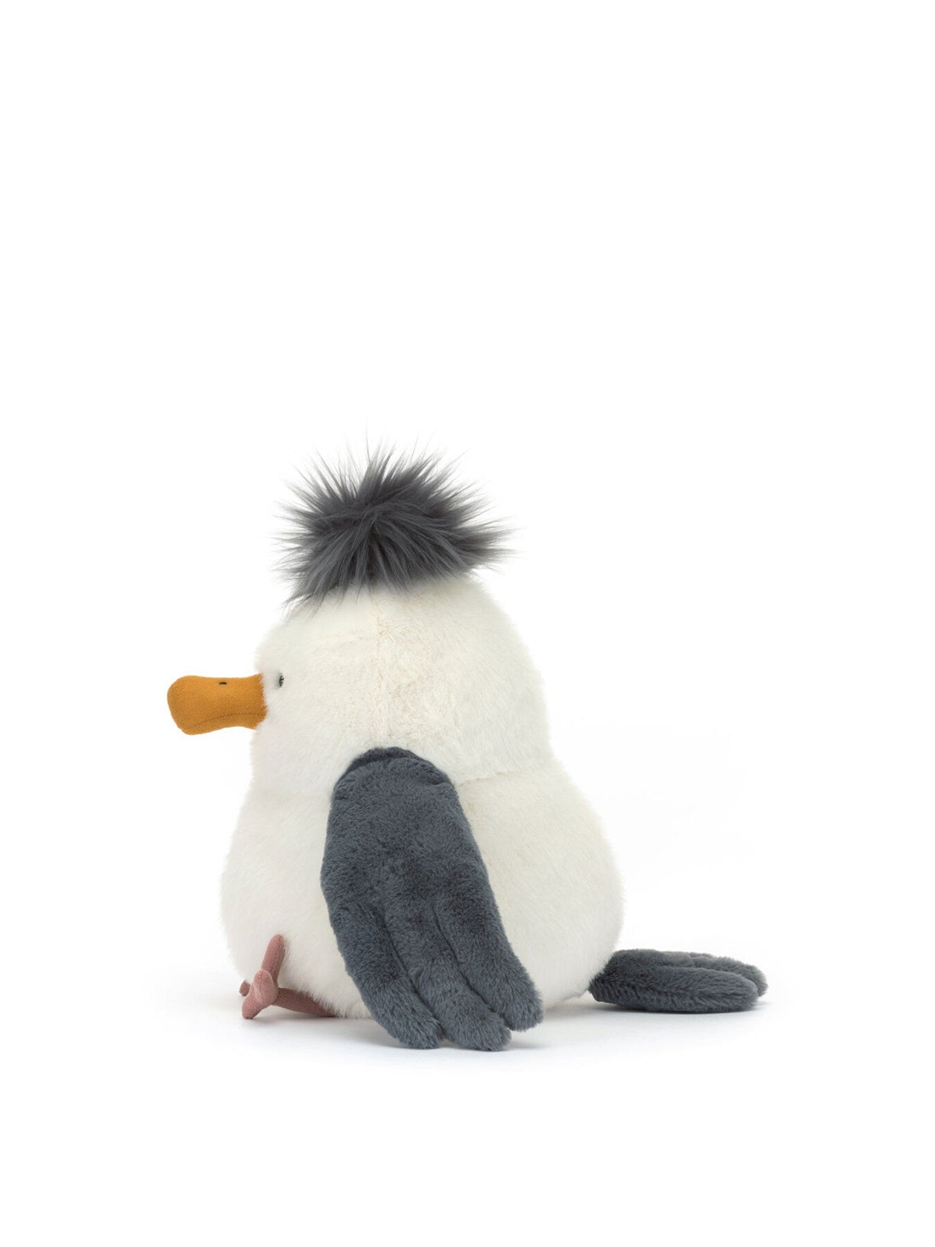 Chip Seagull