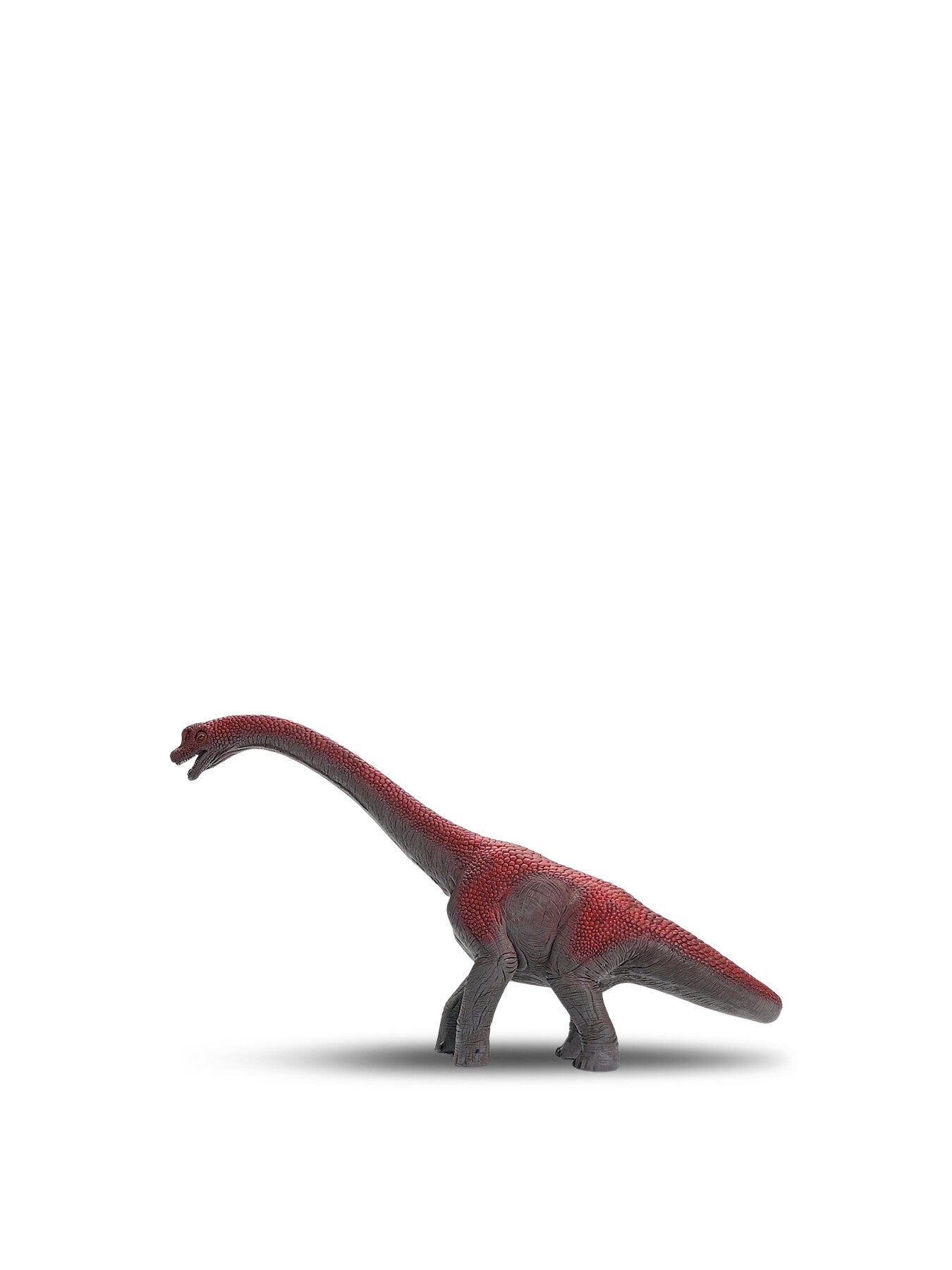 Brachiosaurus