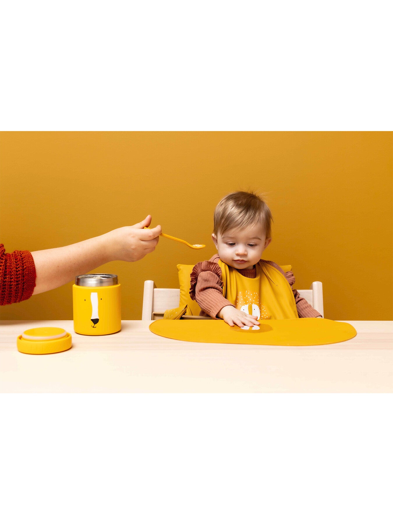 Mr Lion Waterproof Bib 2 pack