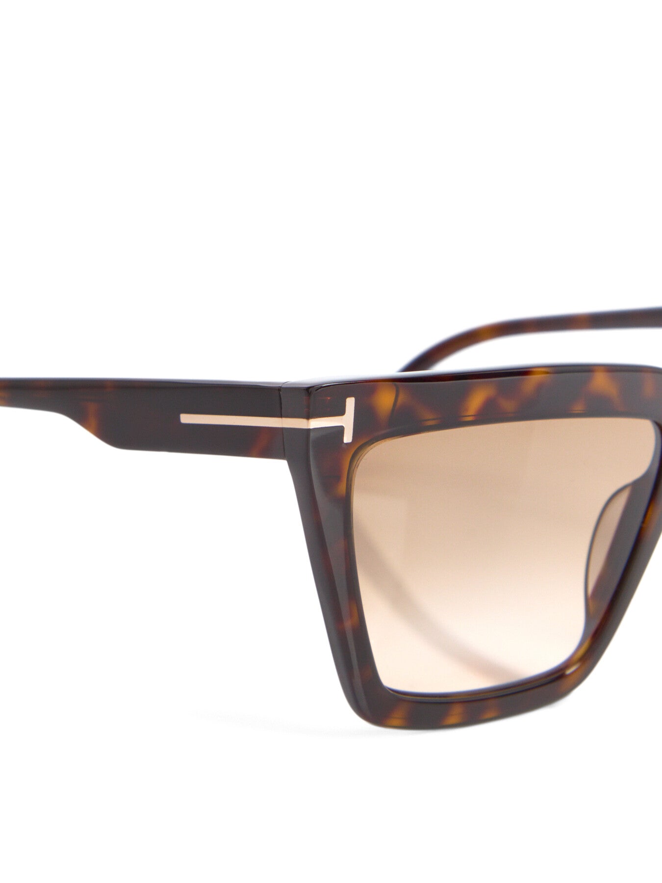 Eden Acetate Sunglasses