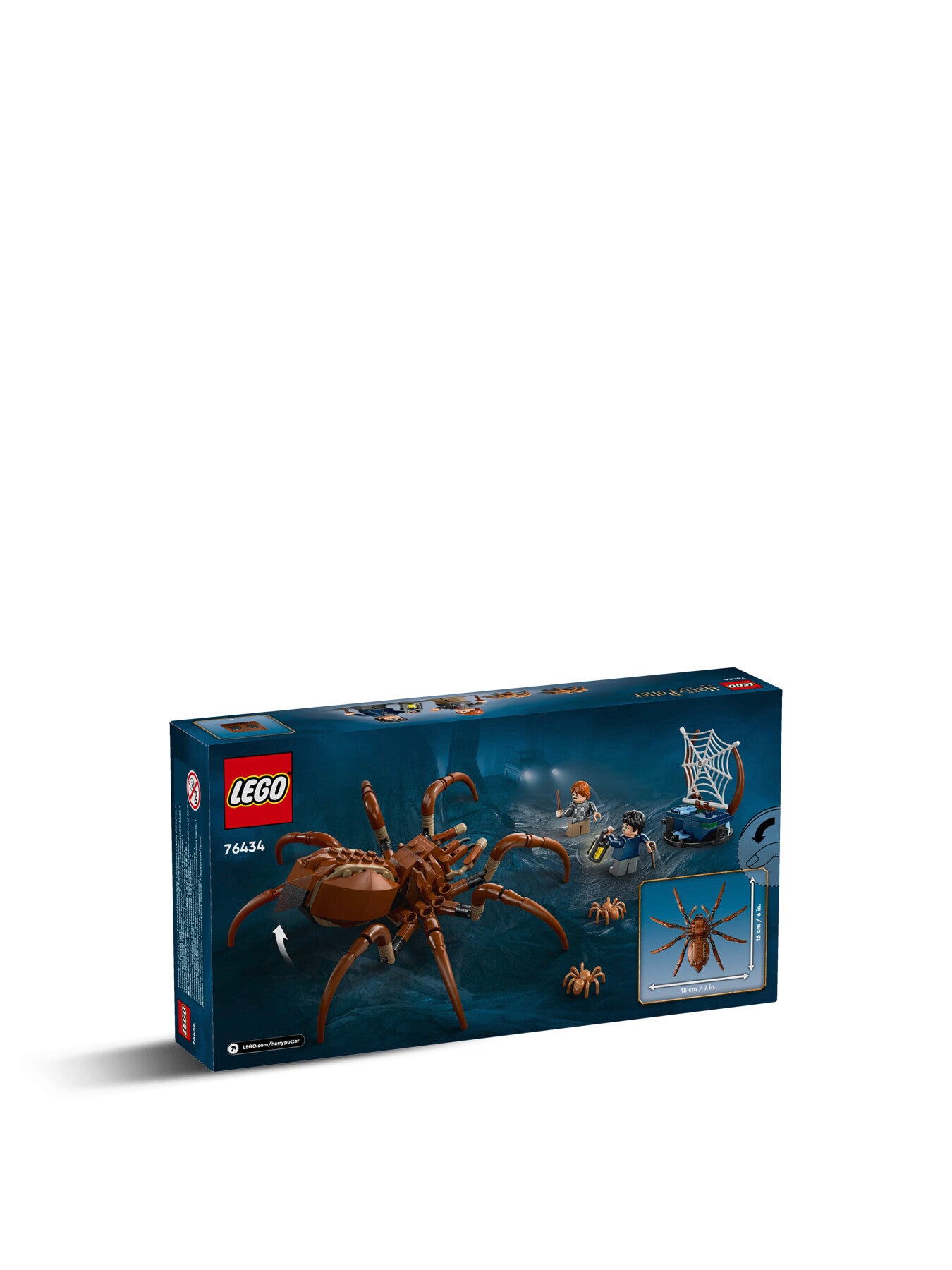 Aragog in the Forbidden Forest