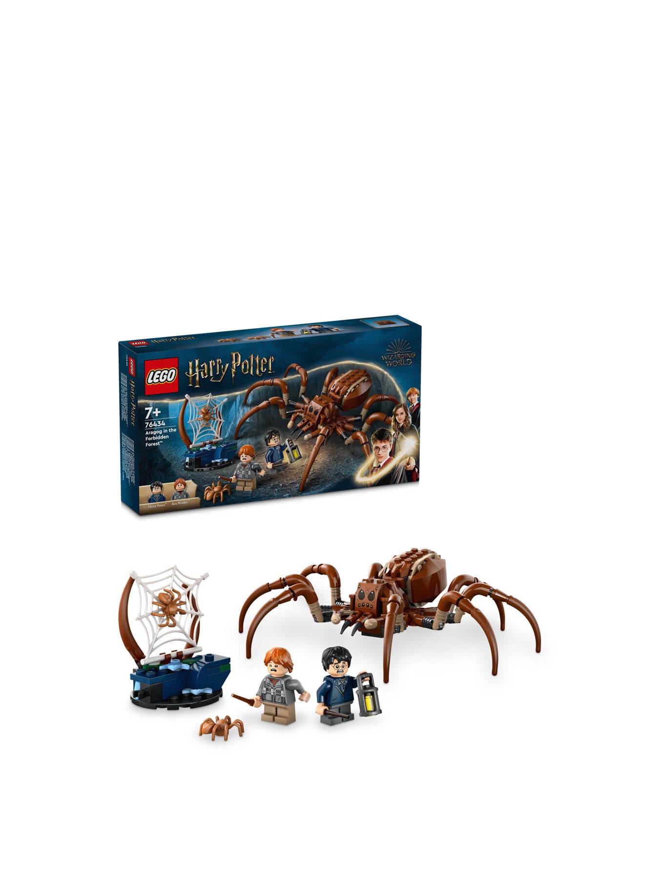 Aragog in the Forbidden Forest