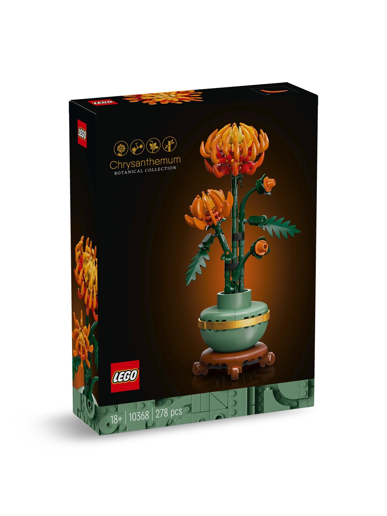 Chrysanthemum Flower Set for Adults