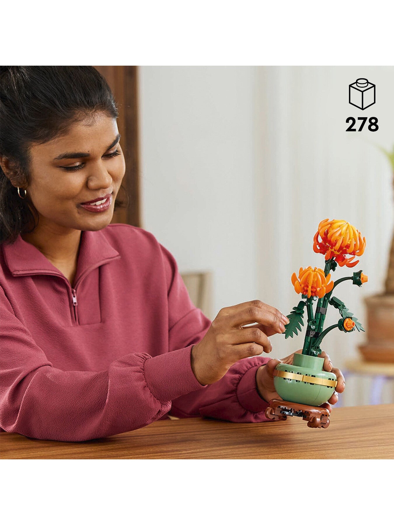 Chrysanthemum Flower Set for Adults