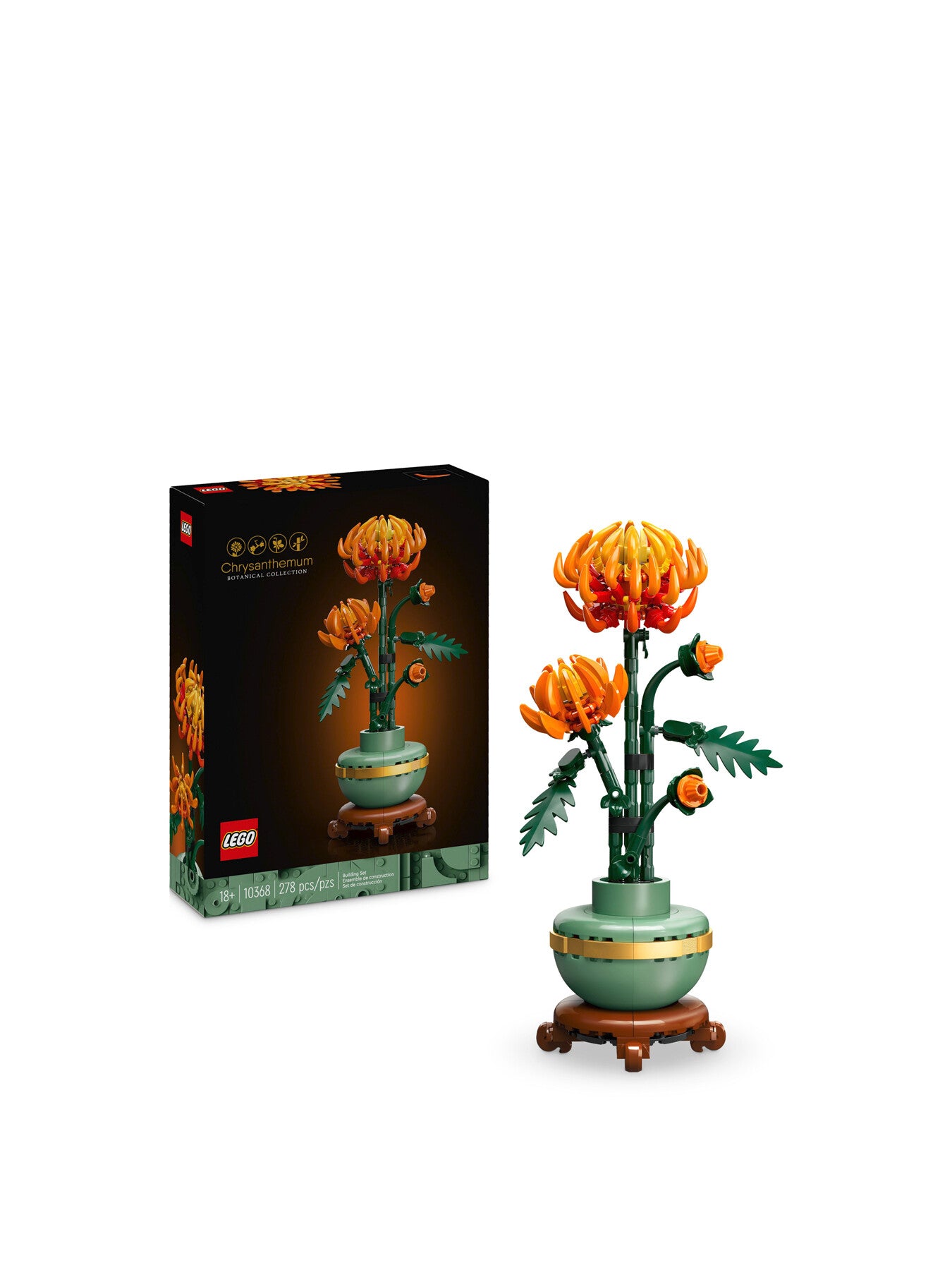 Chrysanthemum Flower Set for Adults