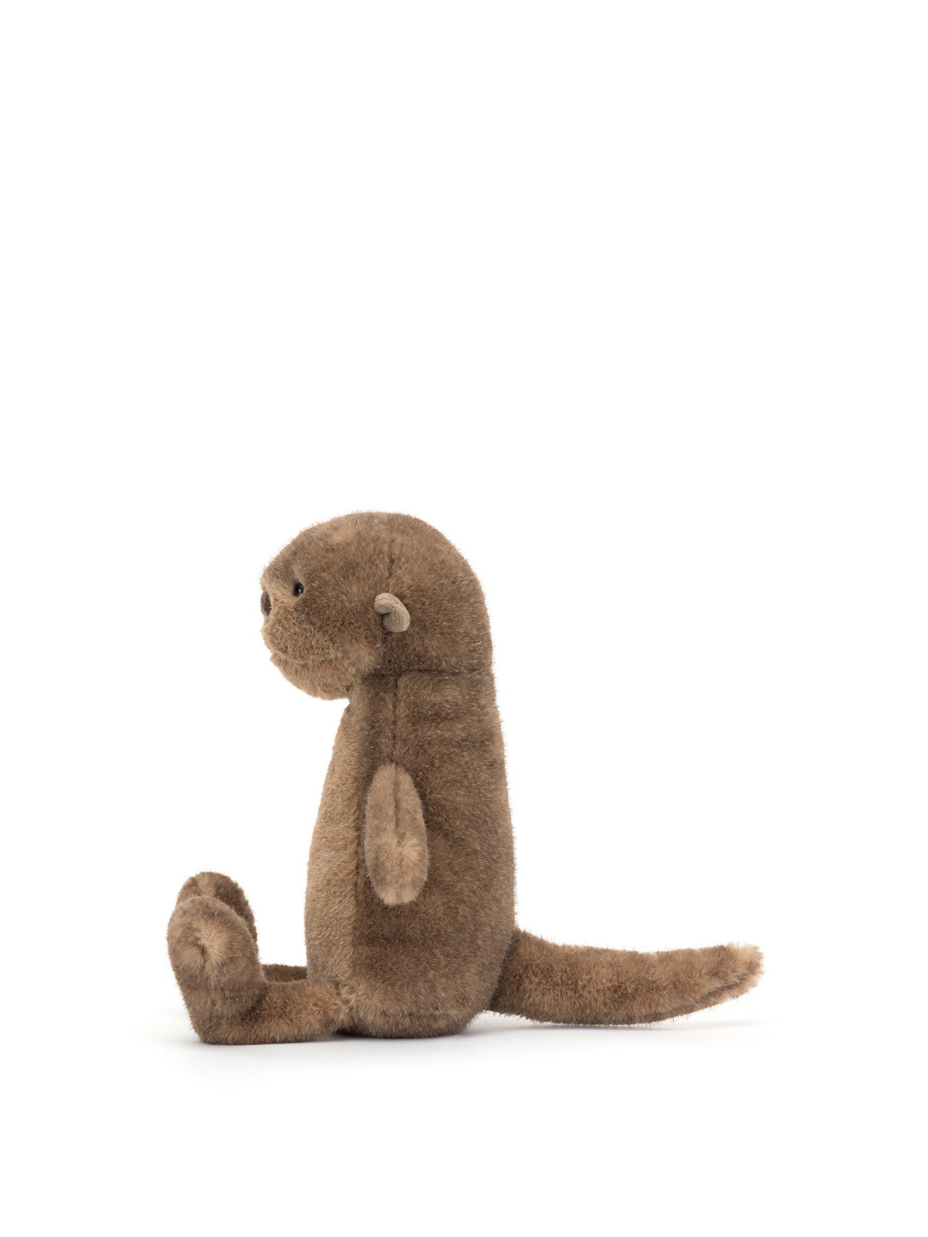 Brooke Otter