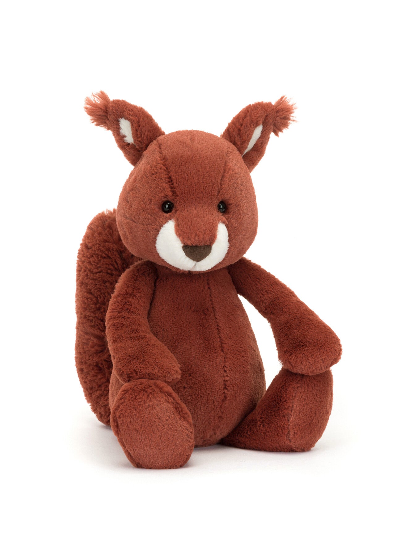 Bashful Squirrel Original