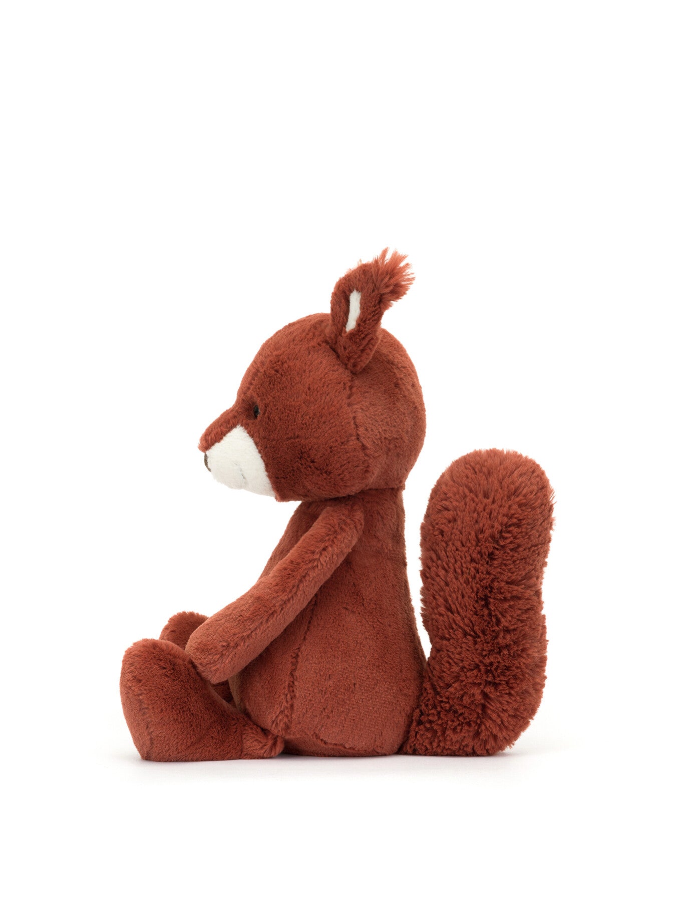 Bashful Squirrel Original