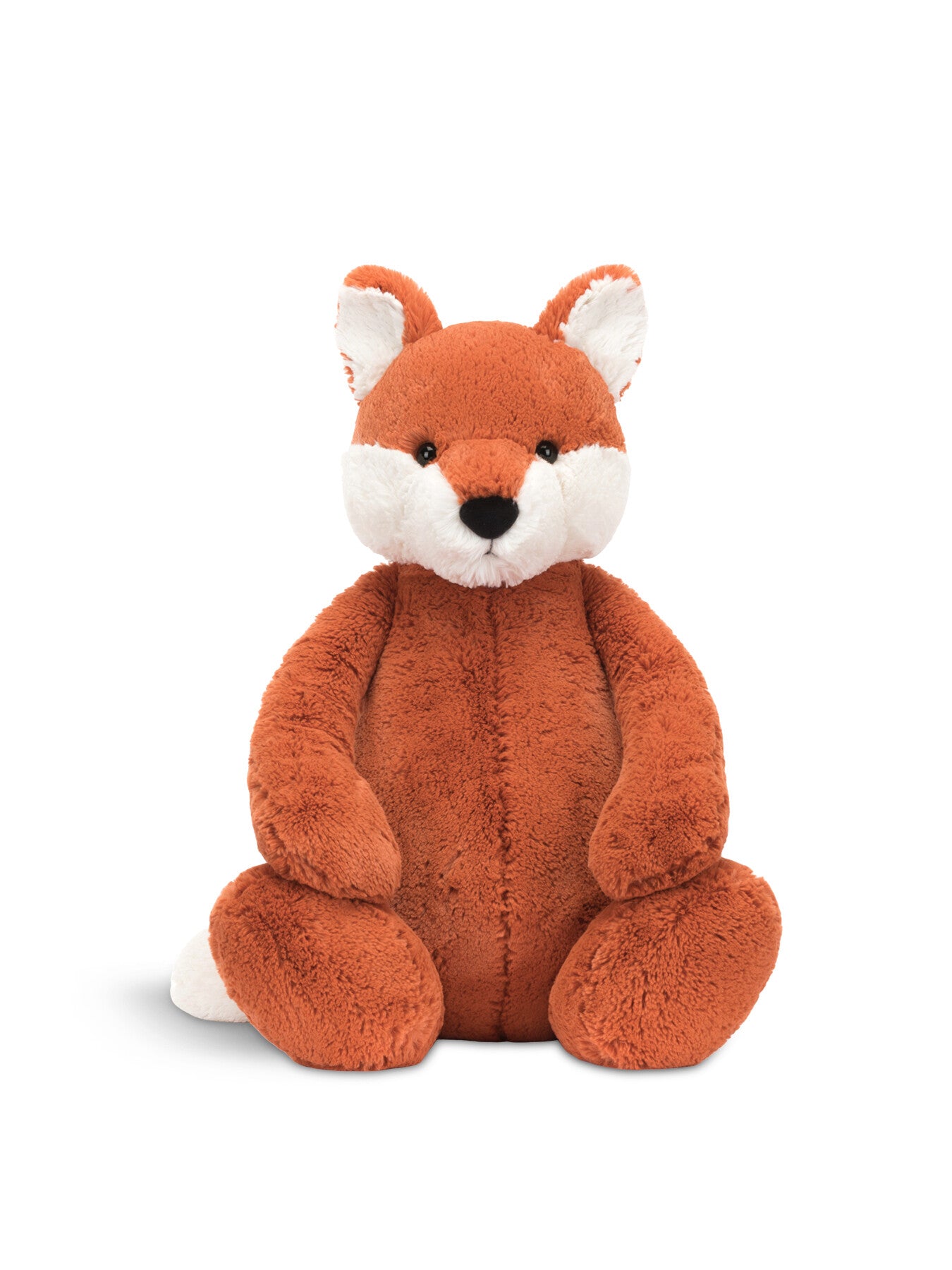 Bashful Fox Cub Really Big