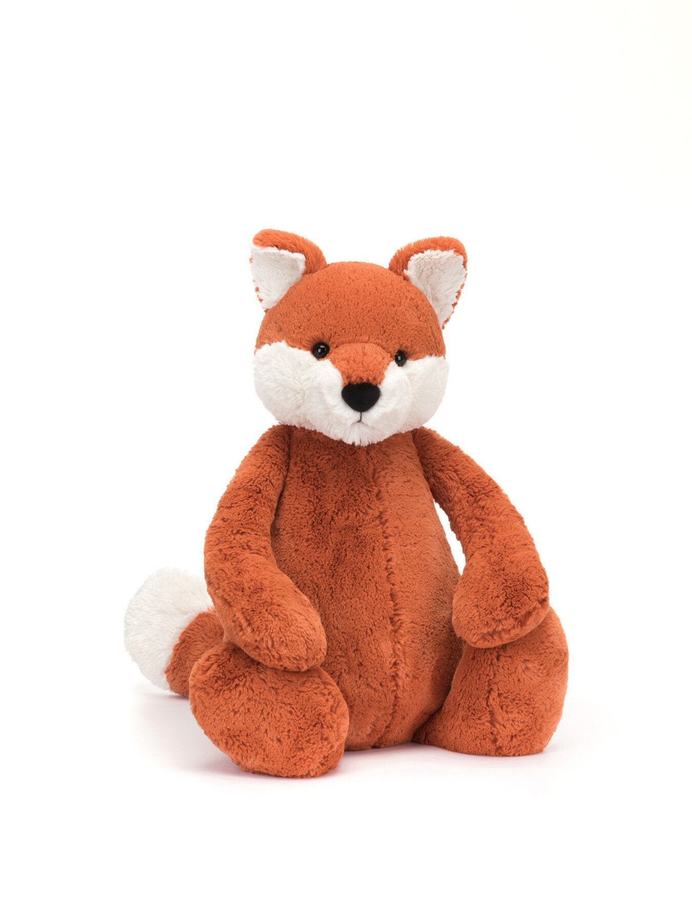 Bashful Fox Cub Really Big
