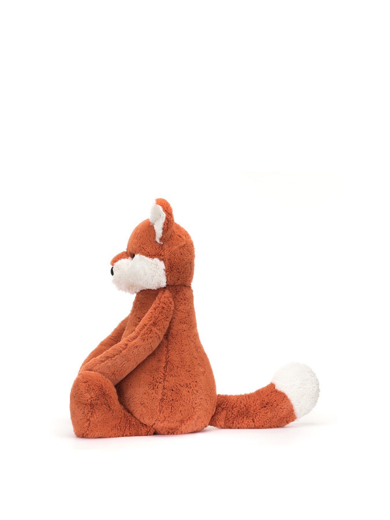 Bashful Fox Cub Really Big