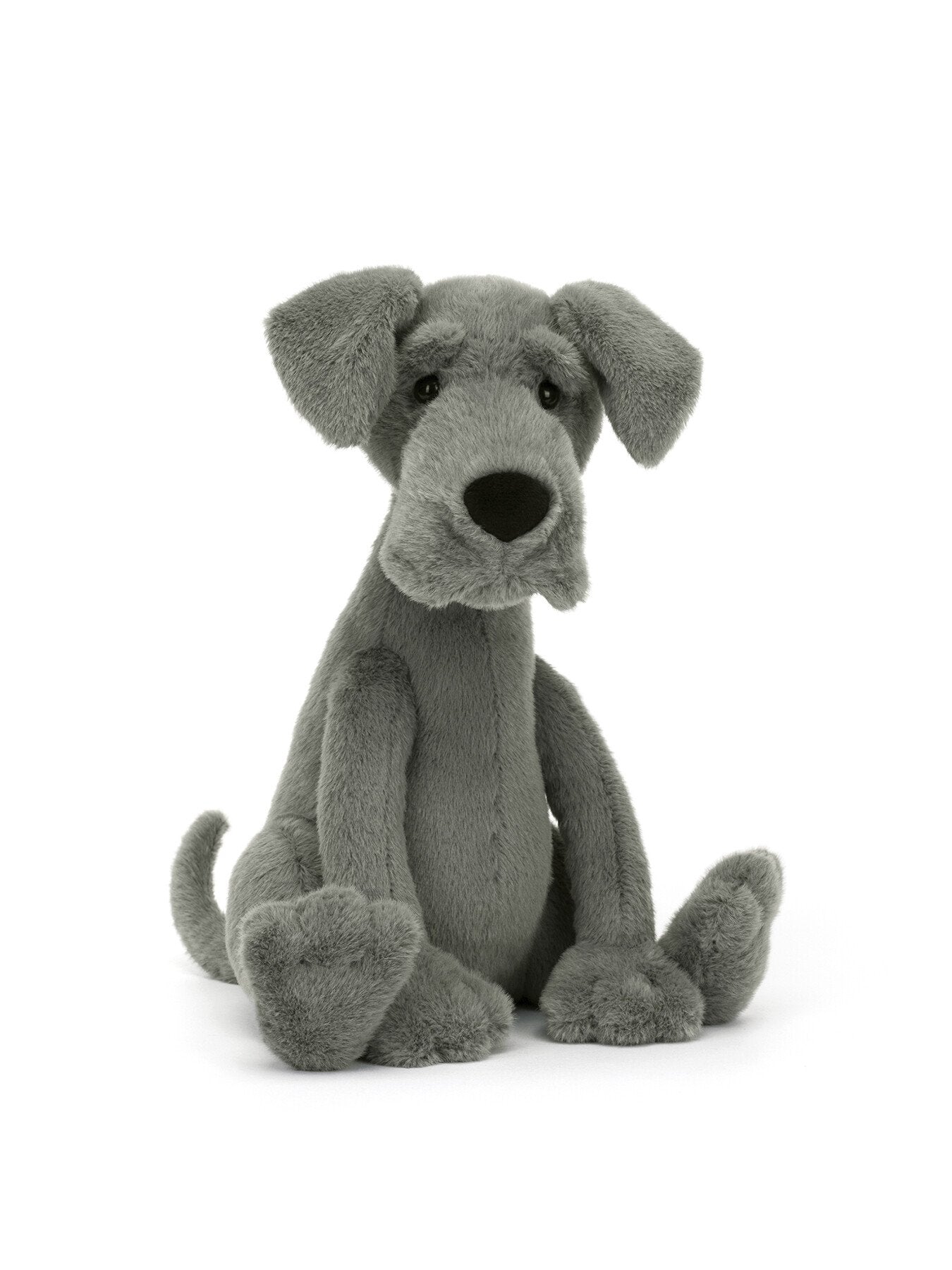 Zeus Great Dane