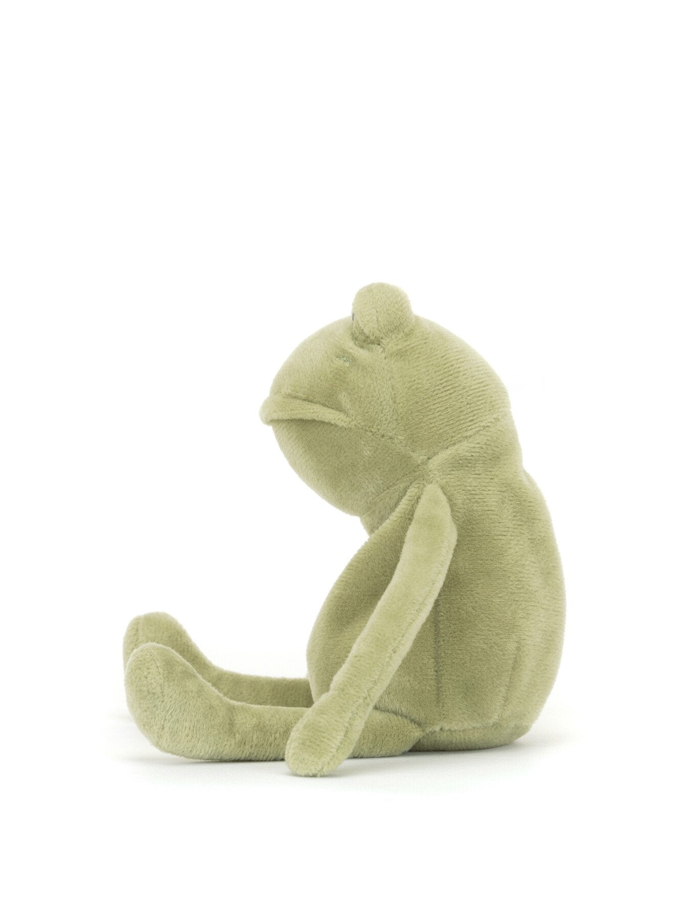 Fergus Frog Little