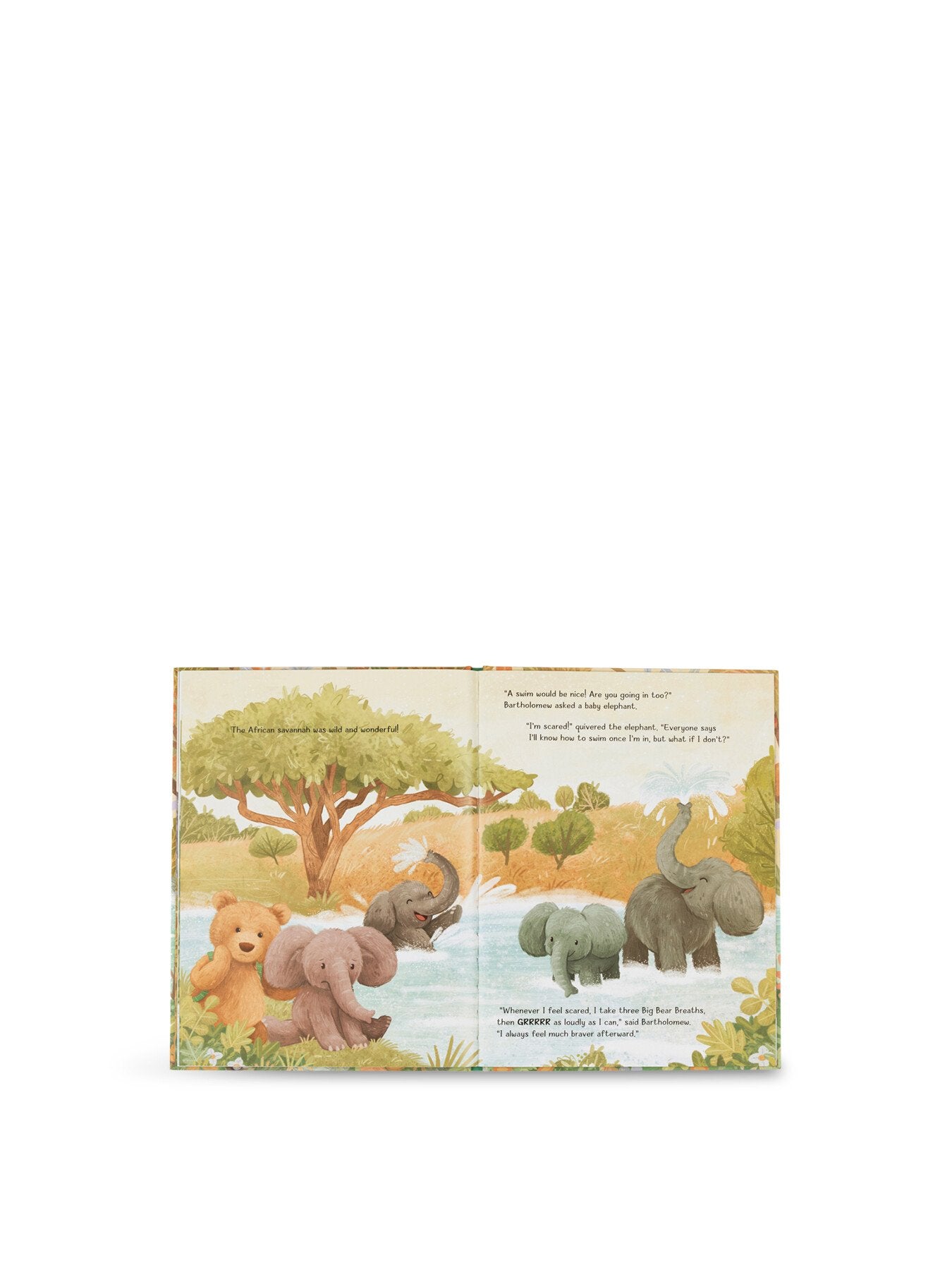 Its a Big World Bartholomew Book