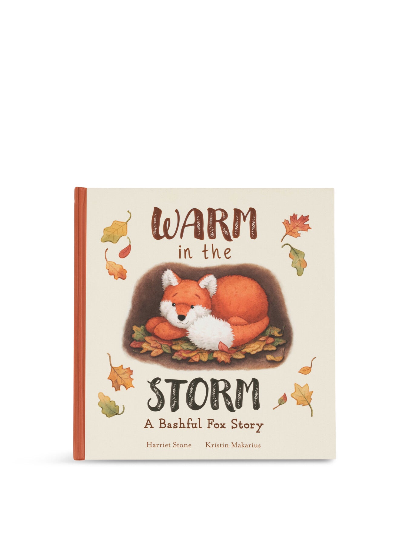 Warm in the Storm Book