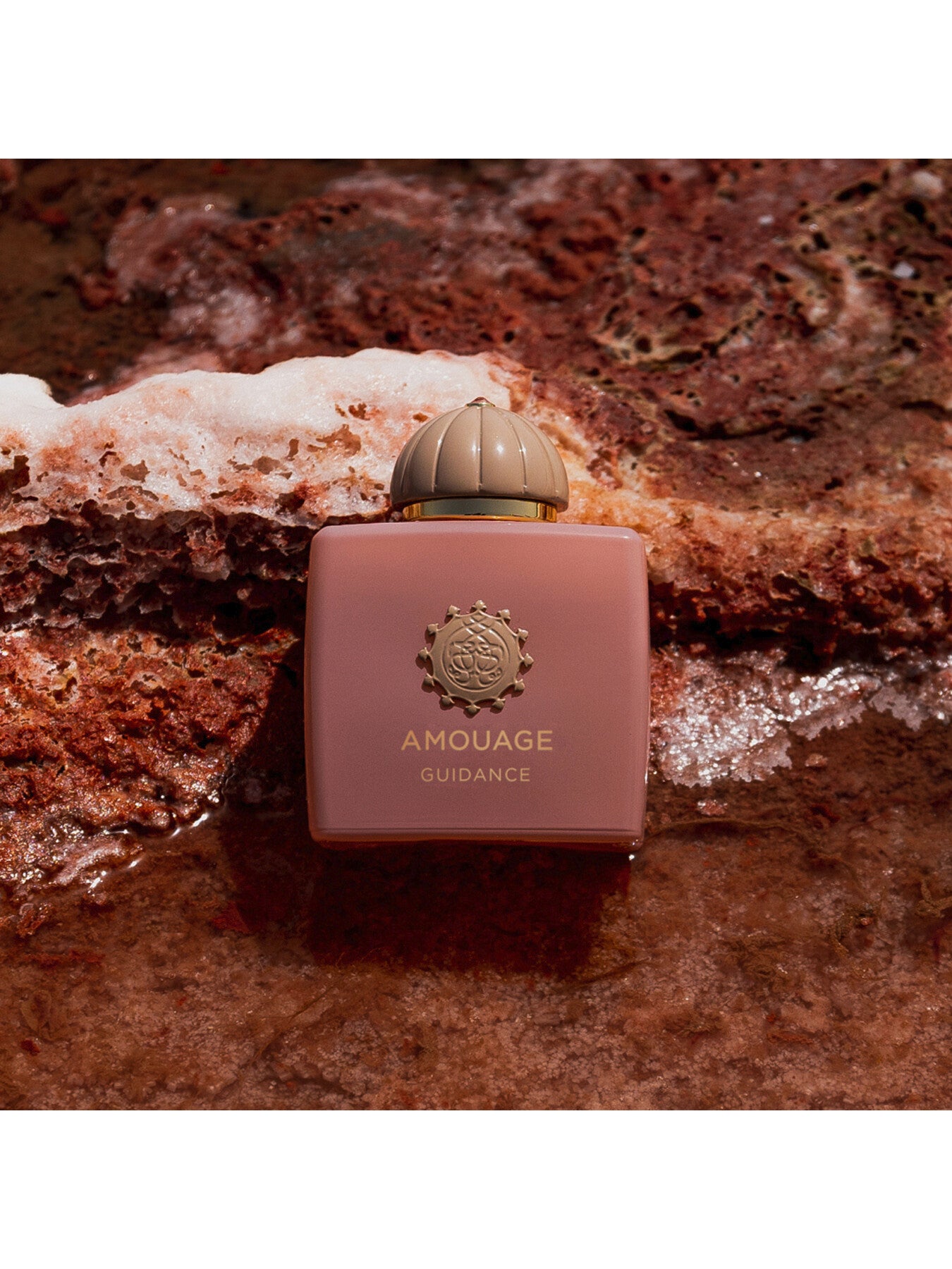 Guidance Eau de Parfum 100ml