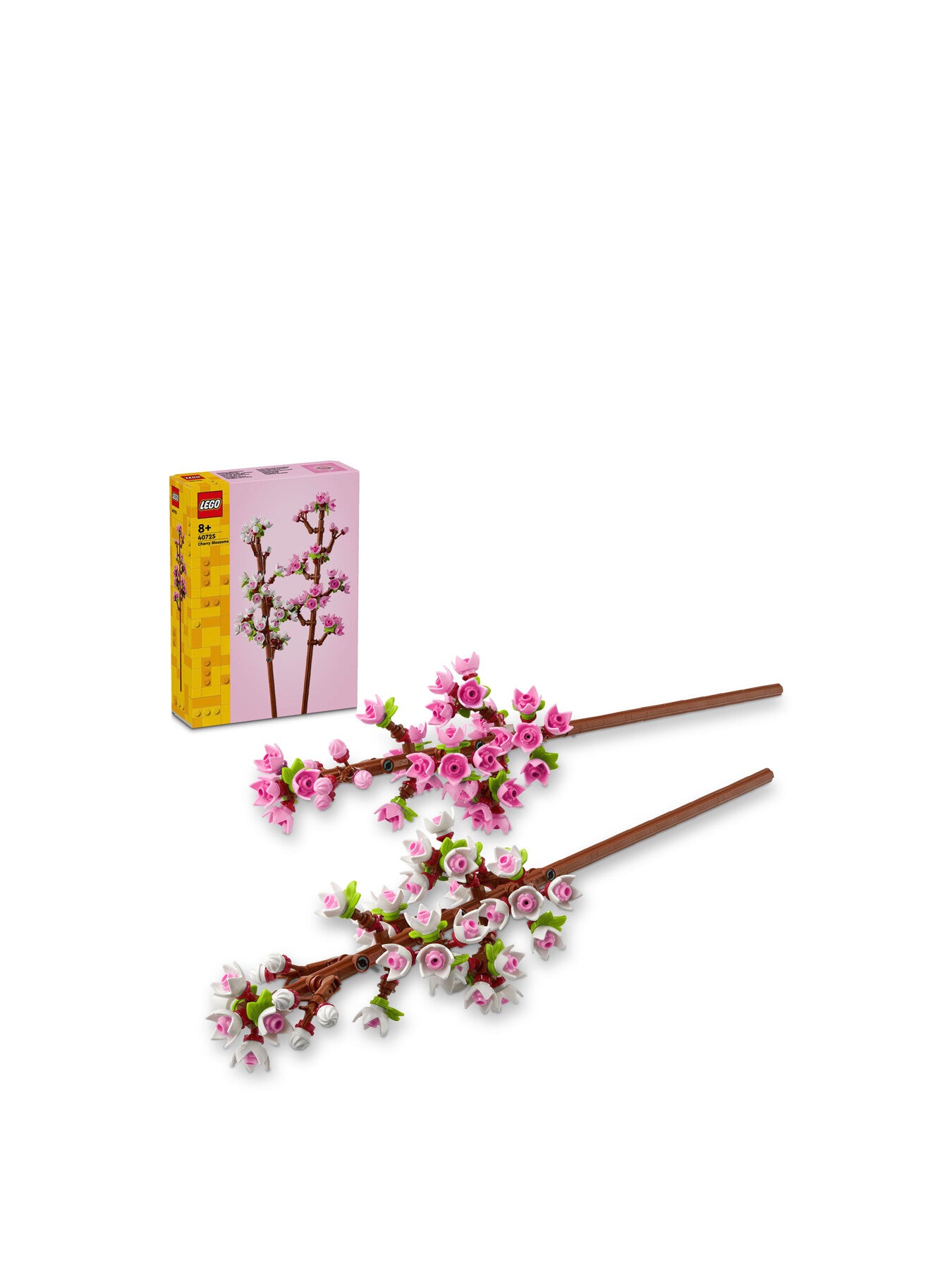 Cherry Blossoms