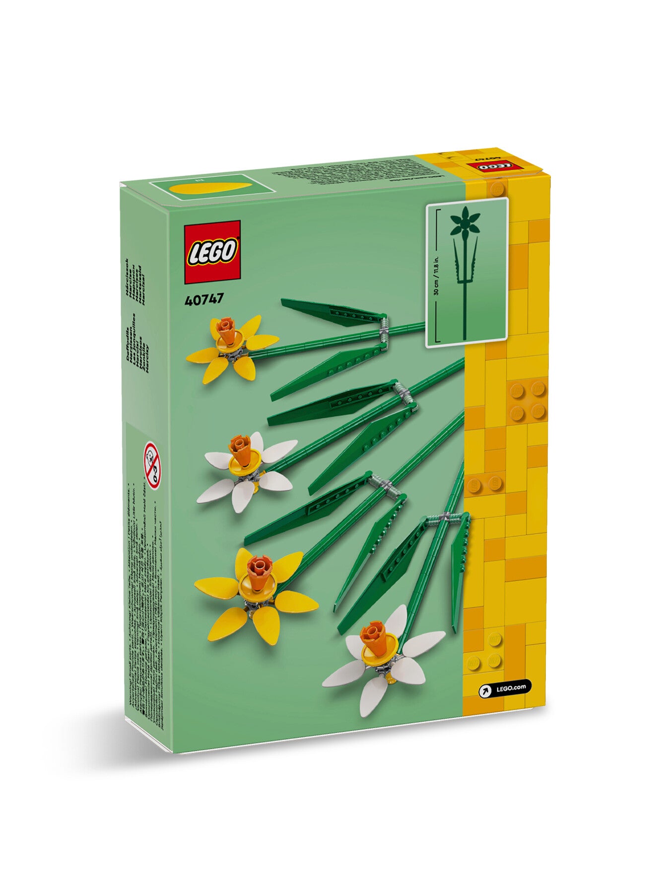 Daffodils