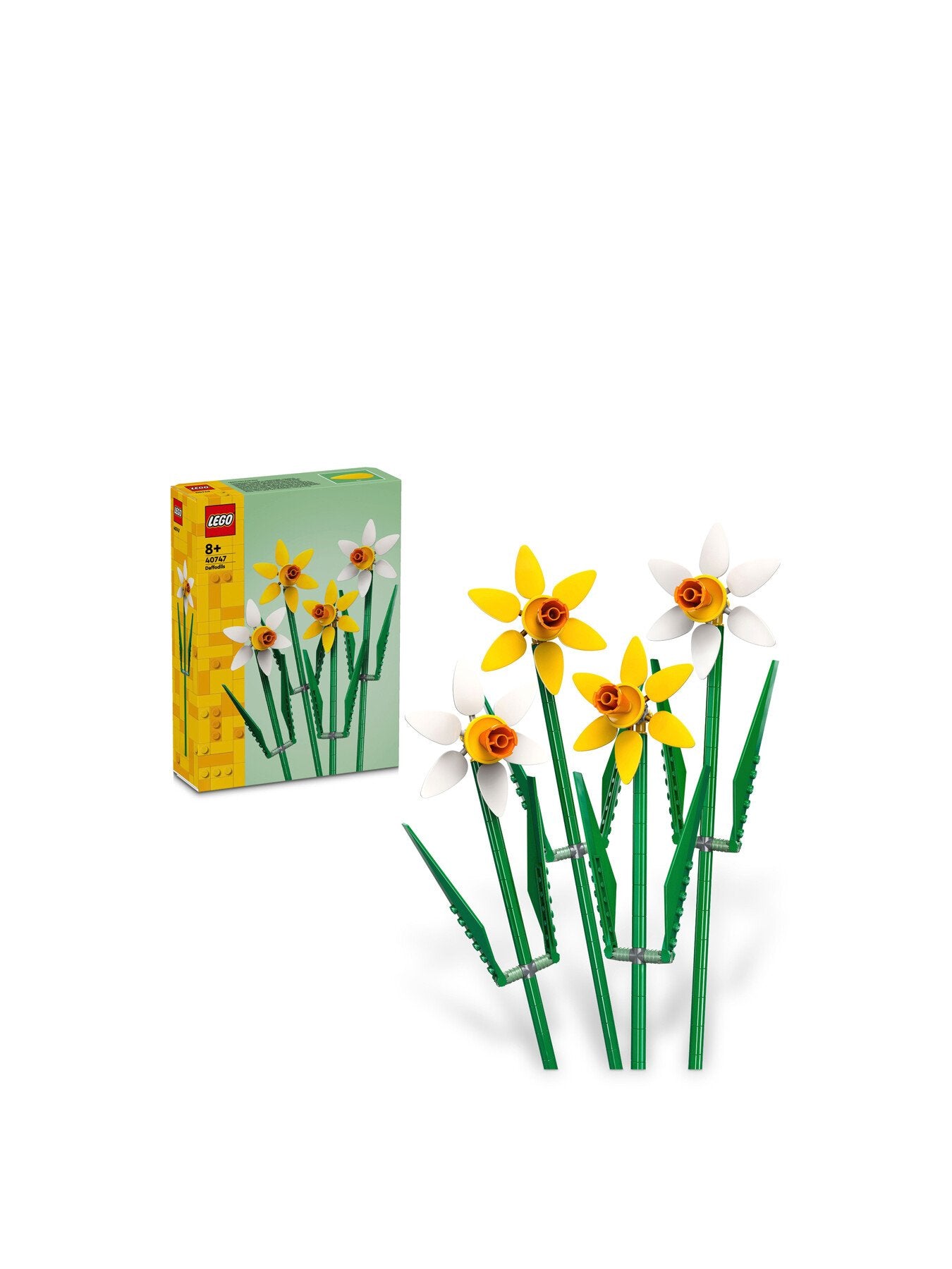 Daffodils