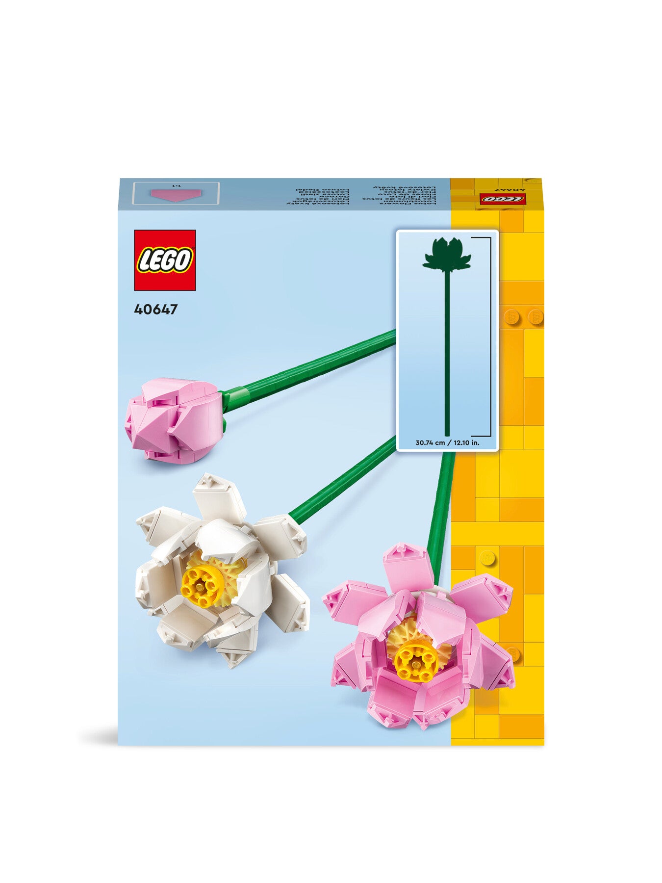 Lotus Flowers