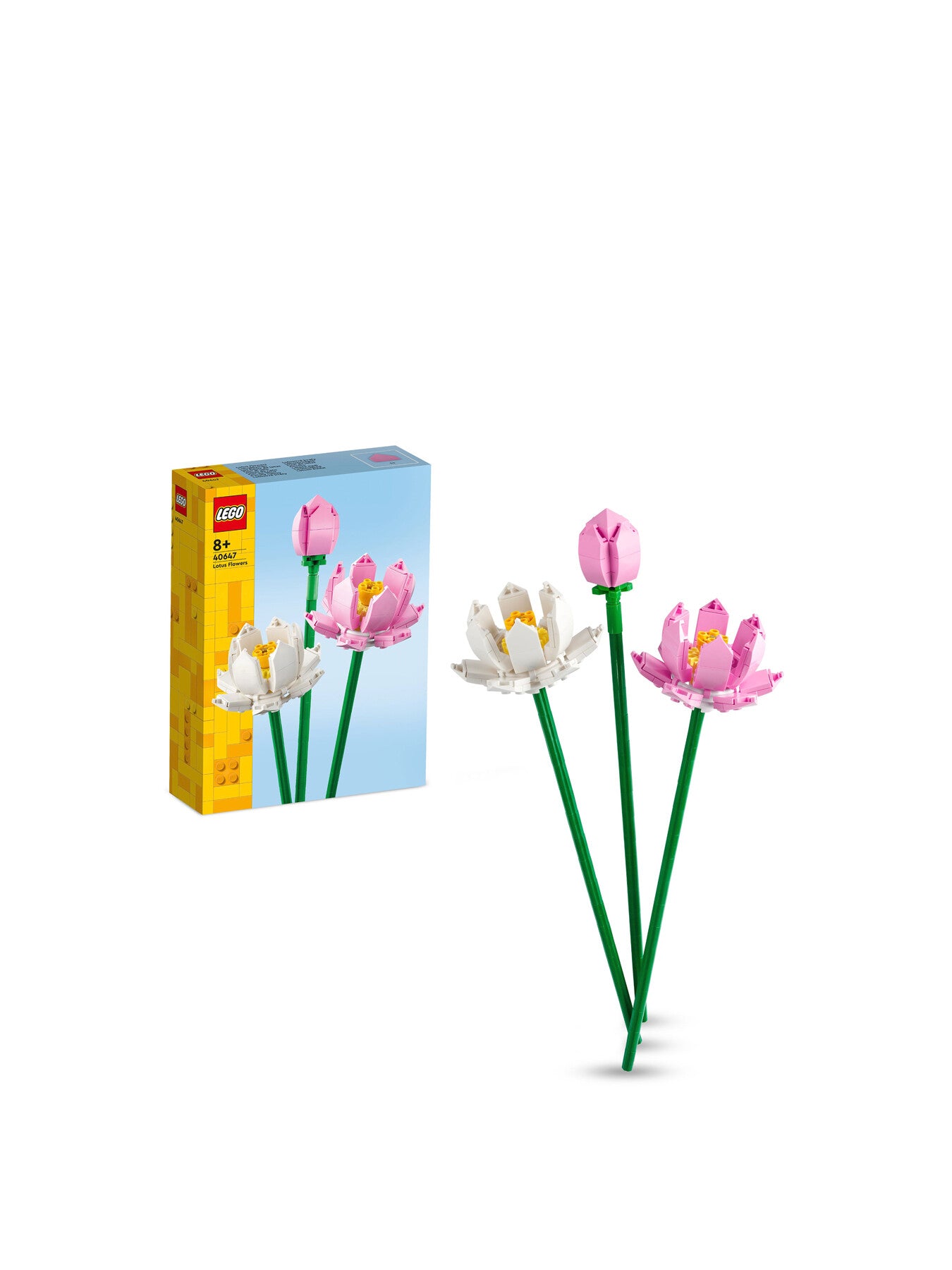 Lotus Flowers
