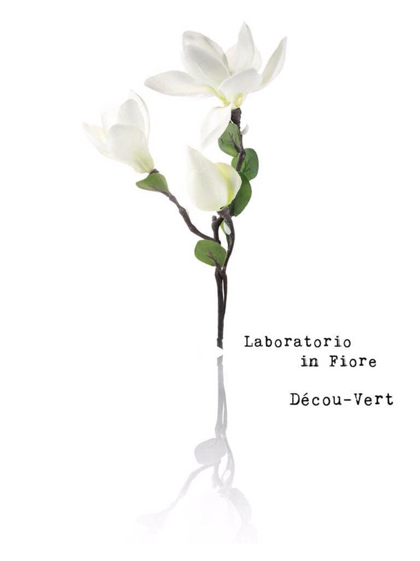 Laboratorio Olfattivo Décou-Vert Eau de Parfum Fenwick