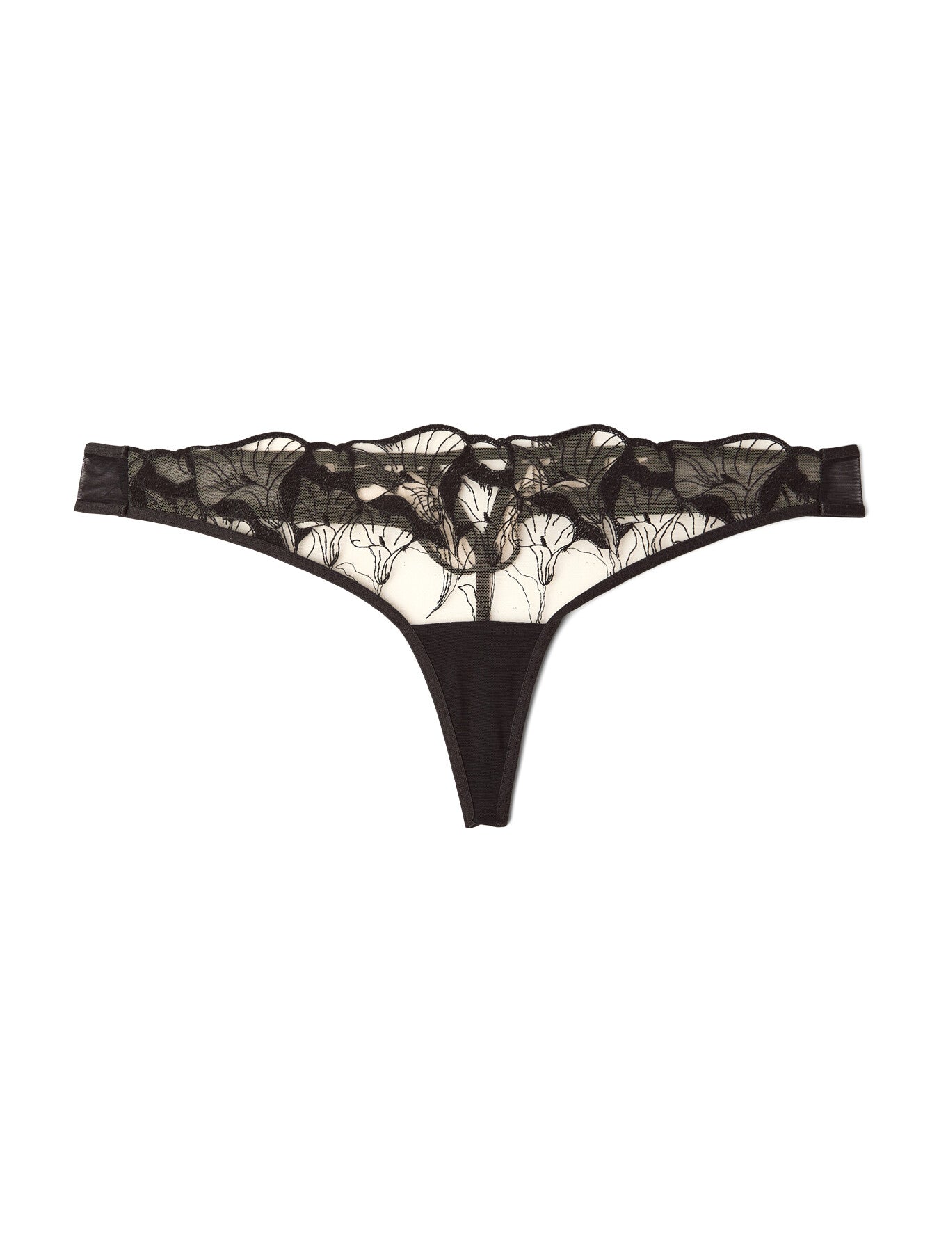 Kalmia Thong