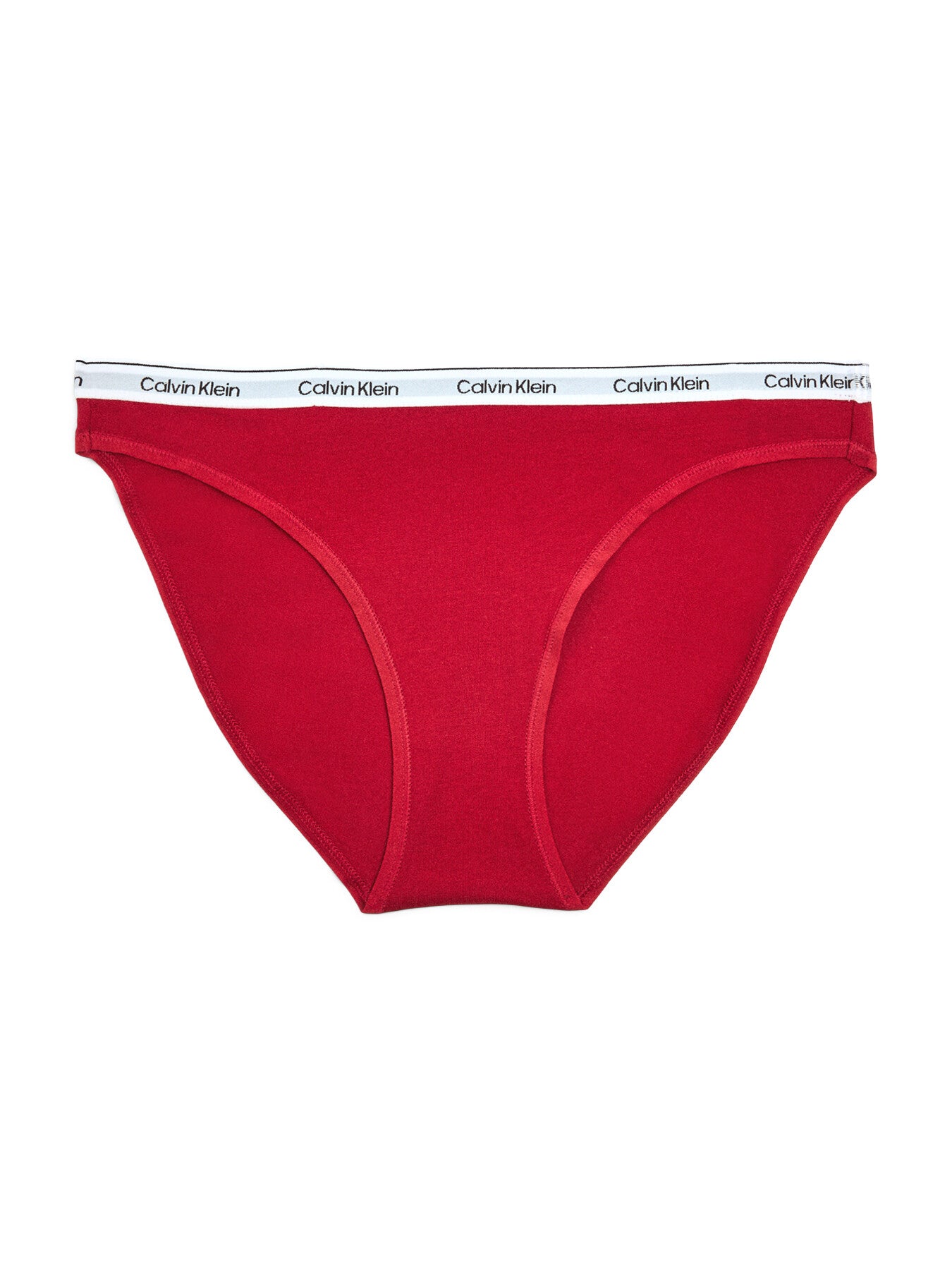 Modern Logo Bikini