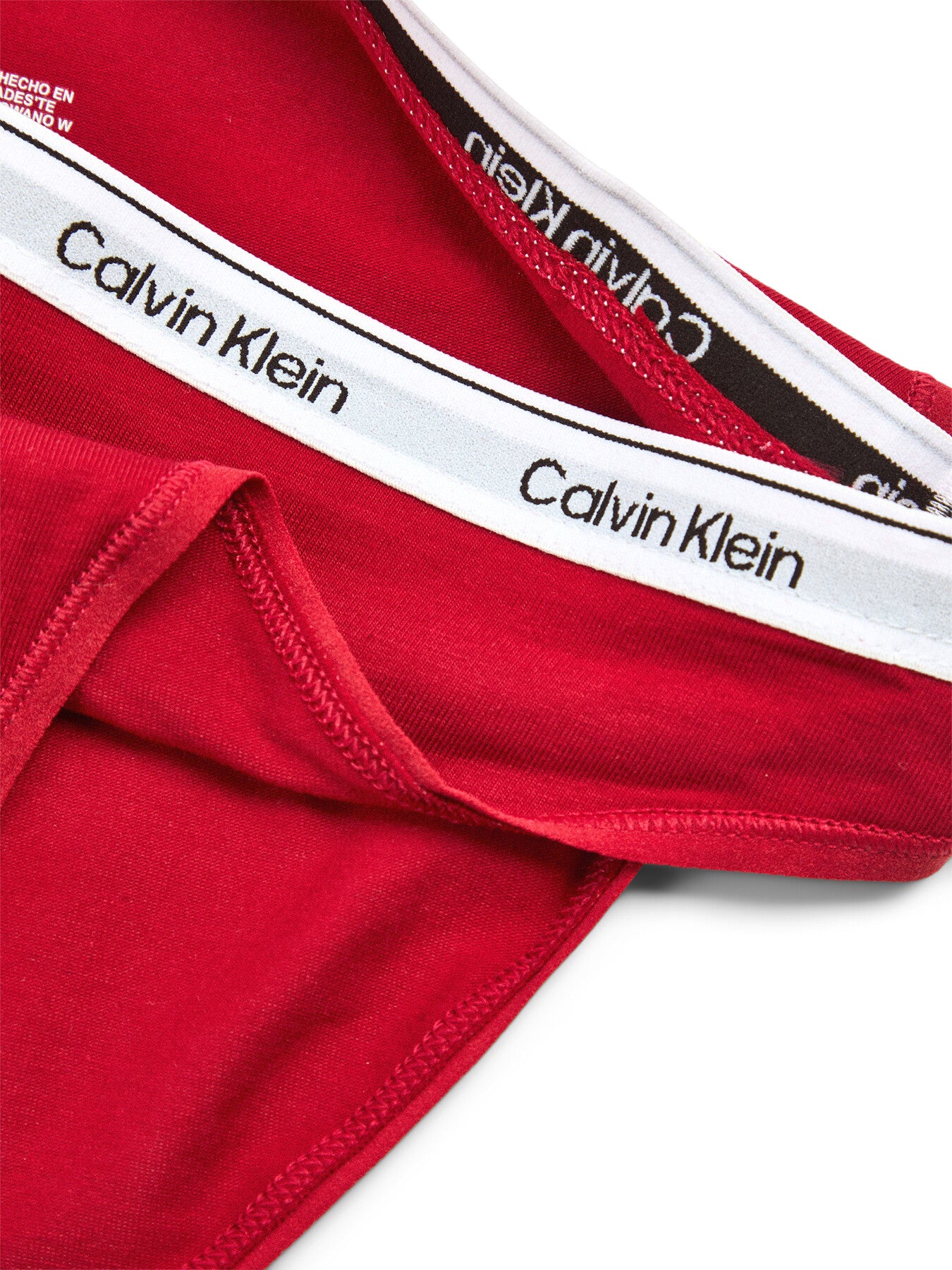Modern Logo Bikini