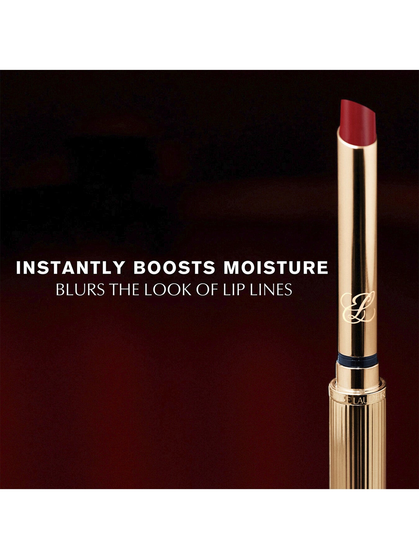Pure Color Explicit Silk Matte Lipstick