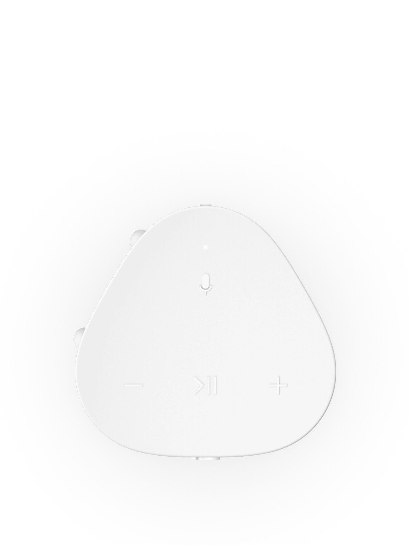 Roam 2 Wireless Smart Speaker