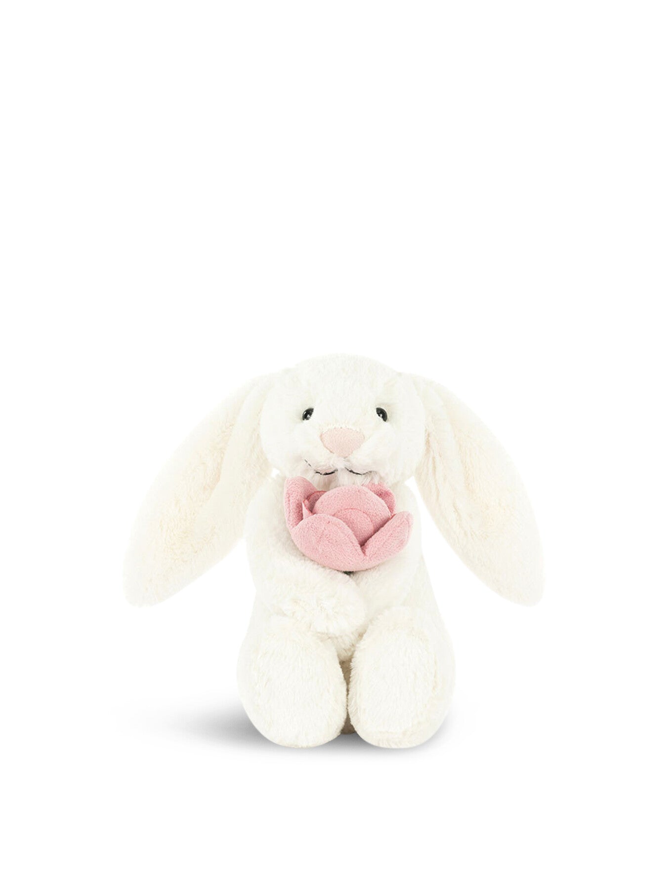 Bashful Bunny Peony