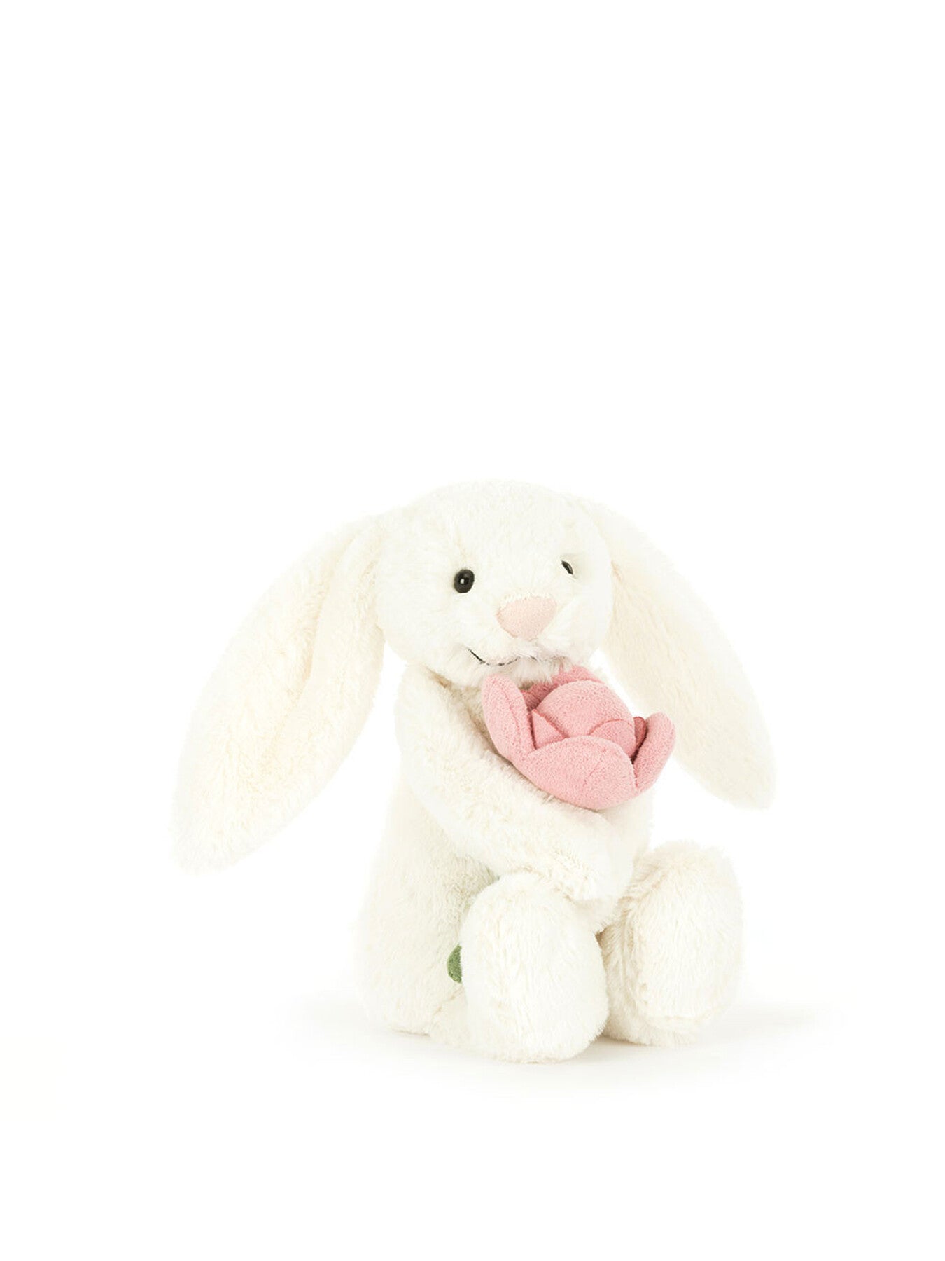 Bashful Bunny Peony