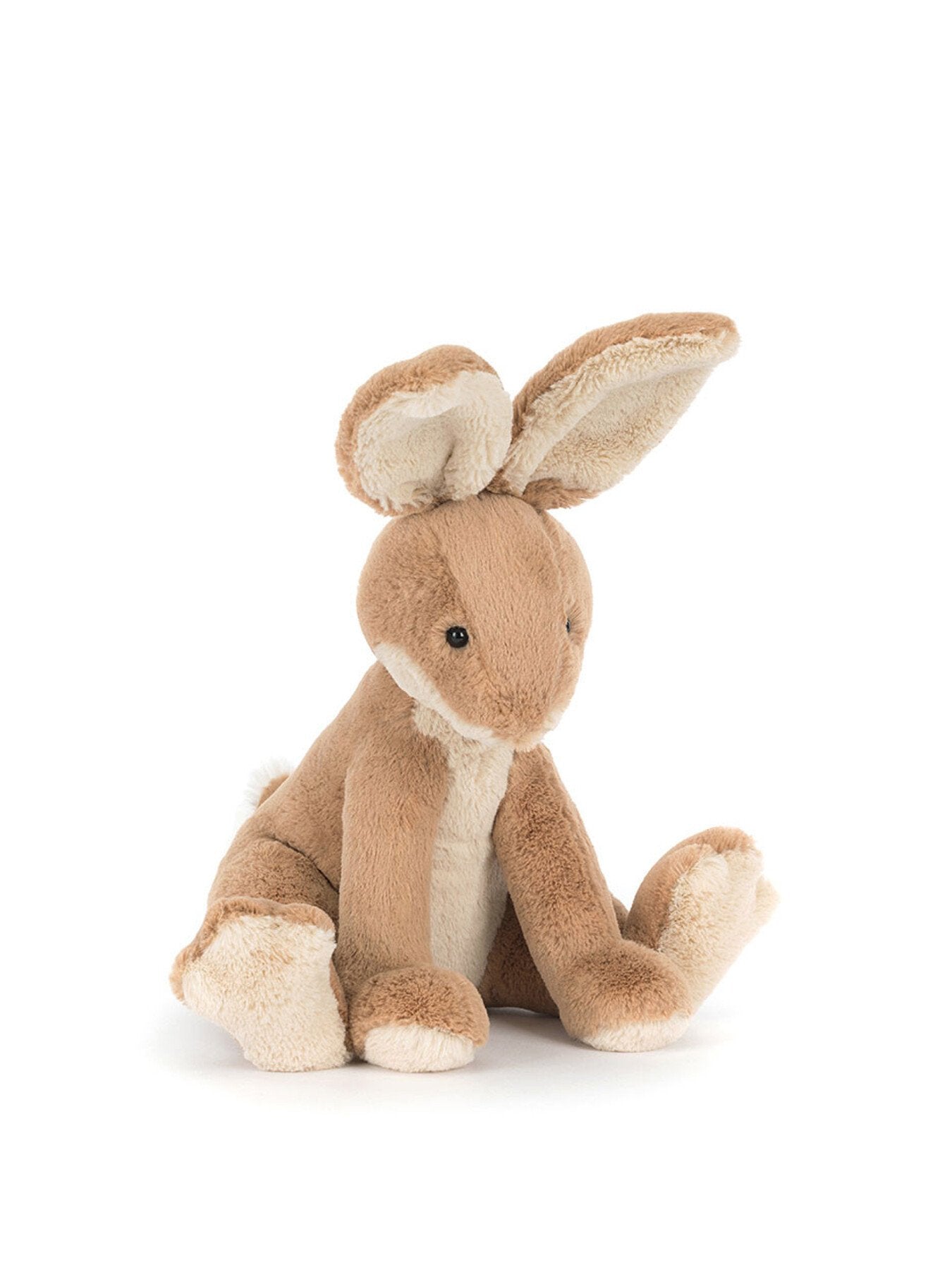 Horticus Hare