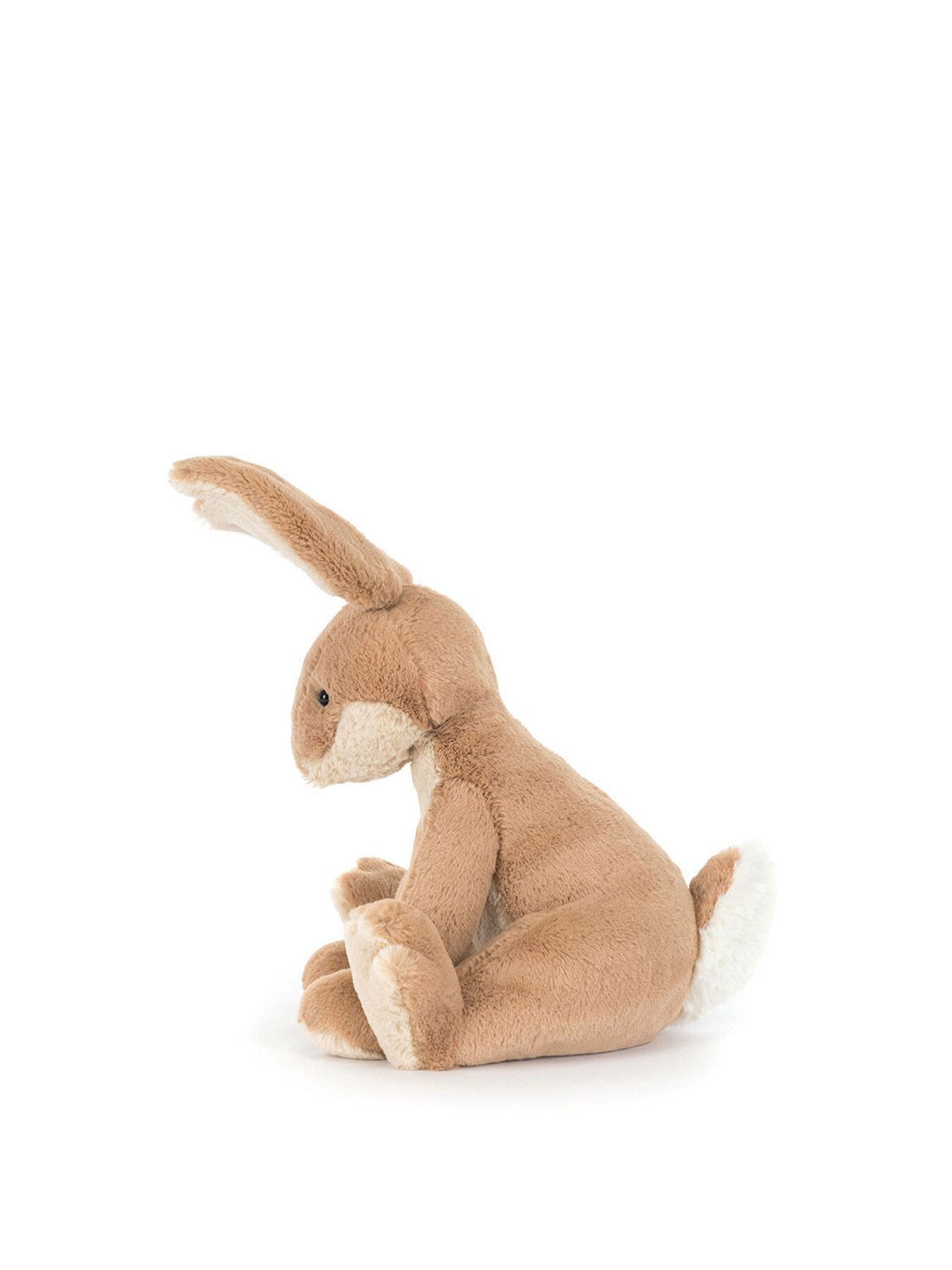 Horticus Hare