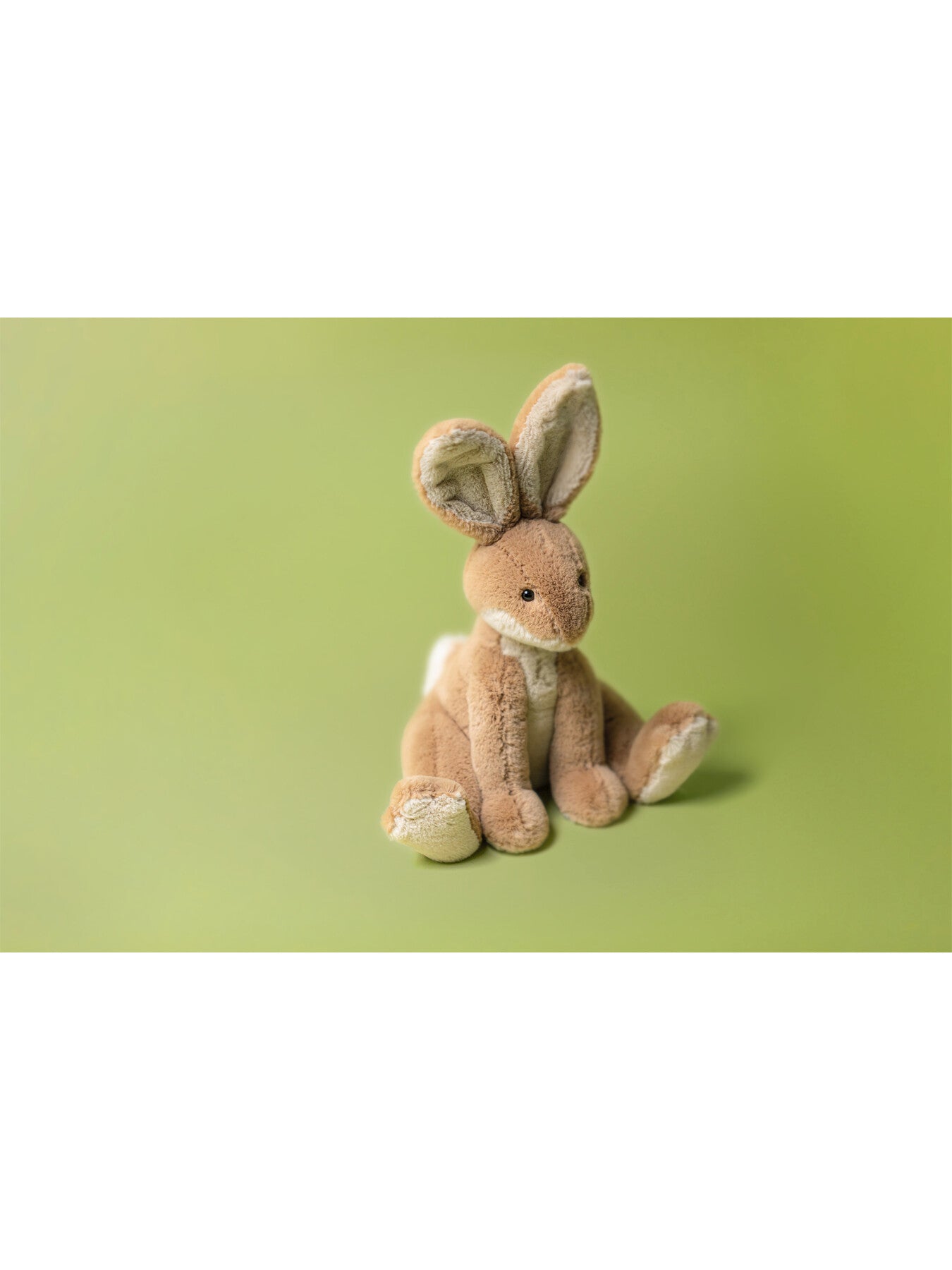 Horticus Hare