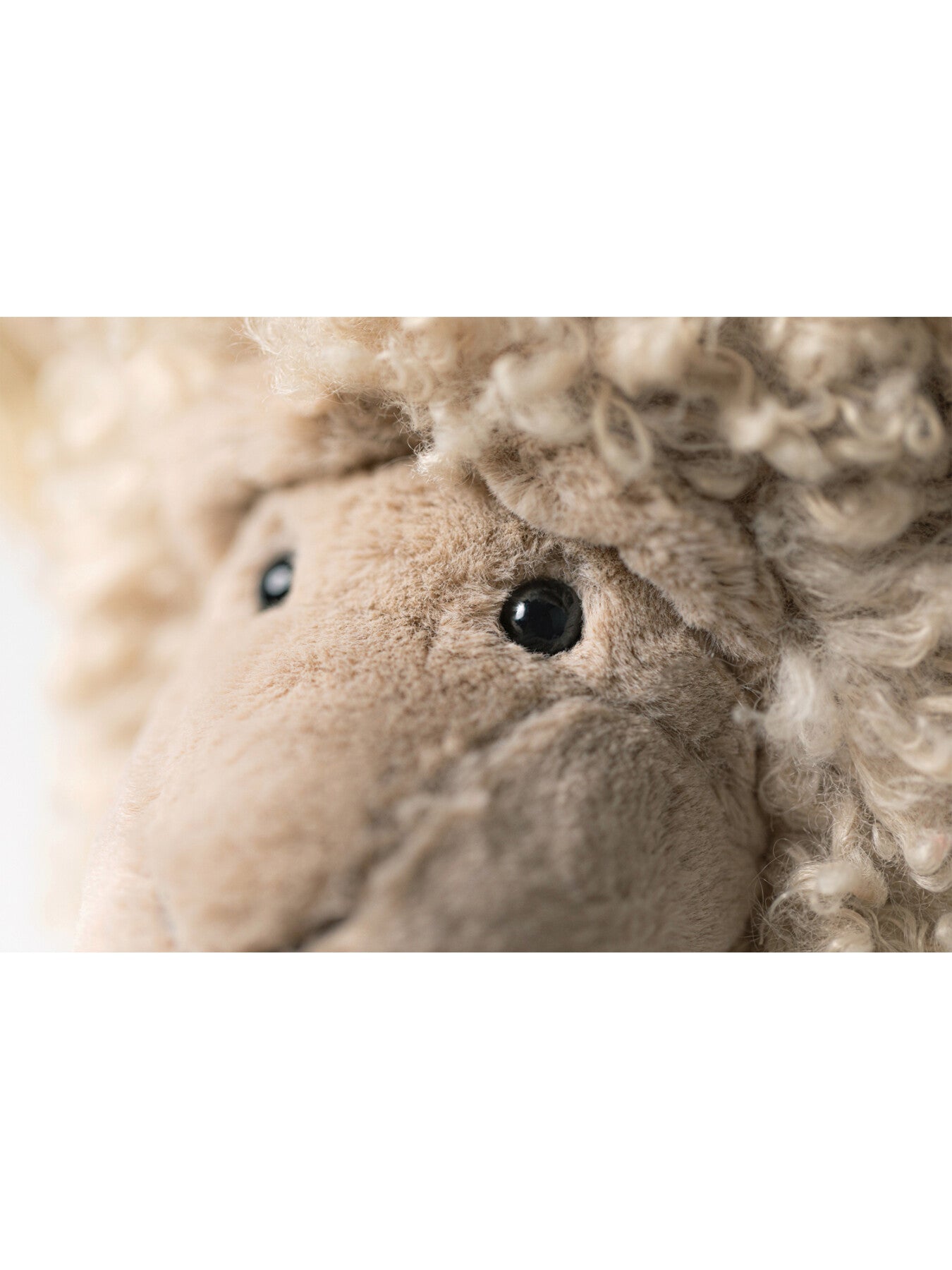 Ramsley Sheep