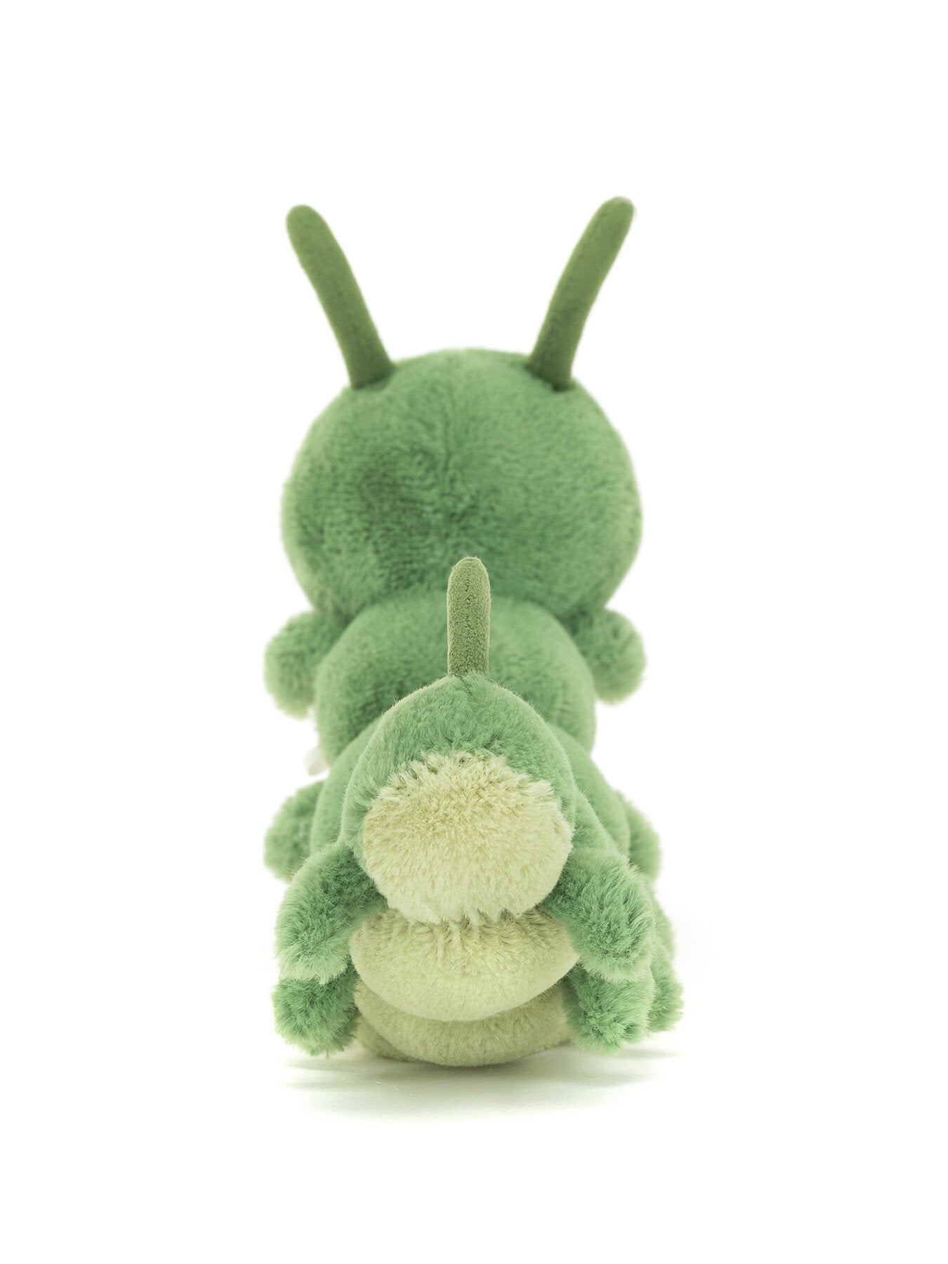 Carys Caterpillar