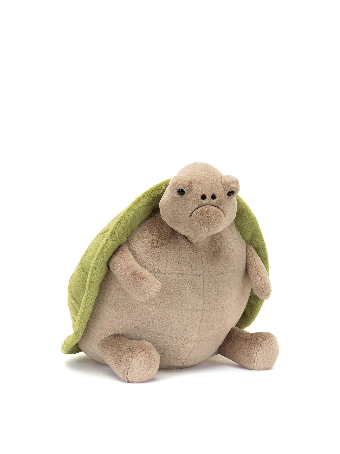 Timmy Turtle Big