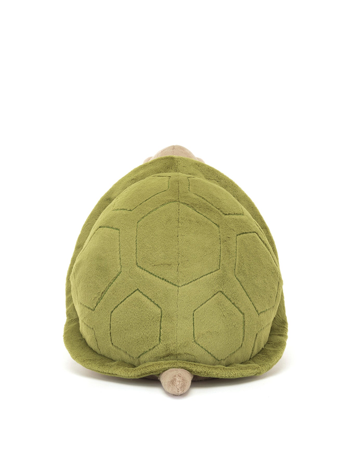 Timmy Turtle Big