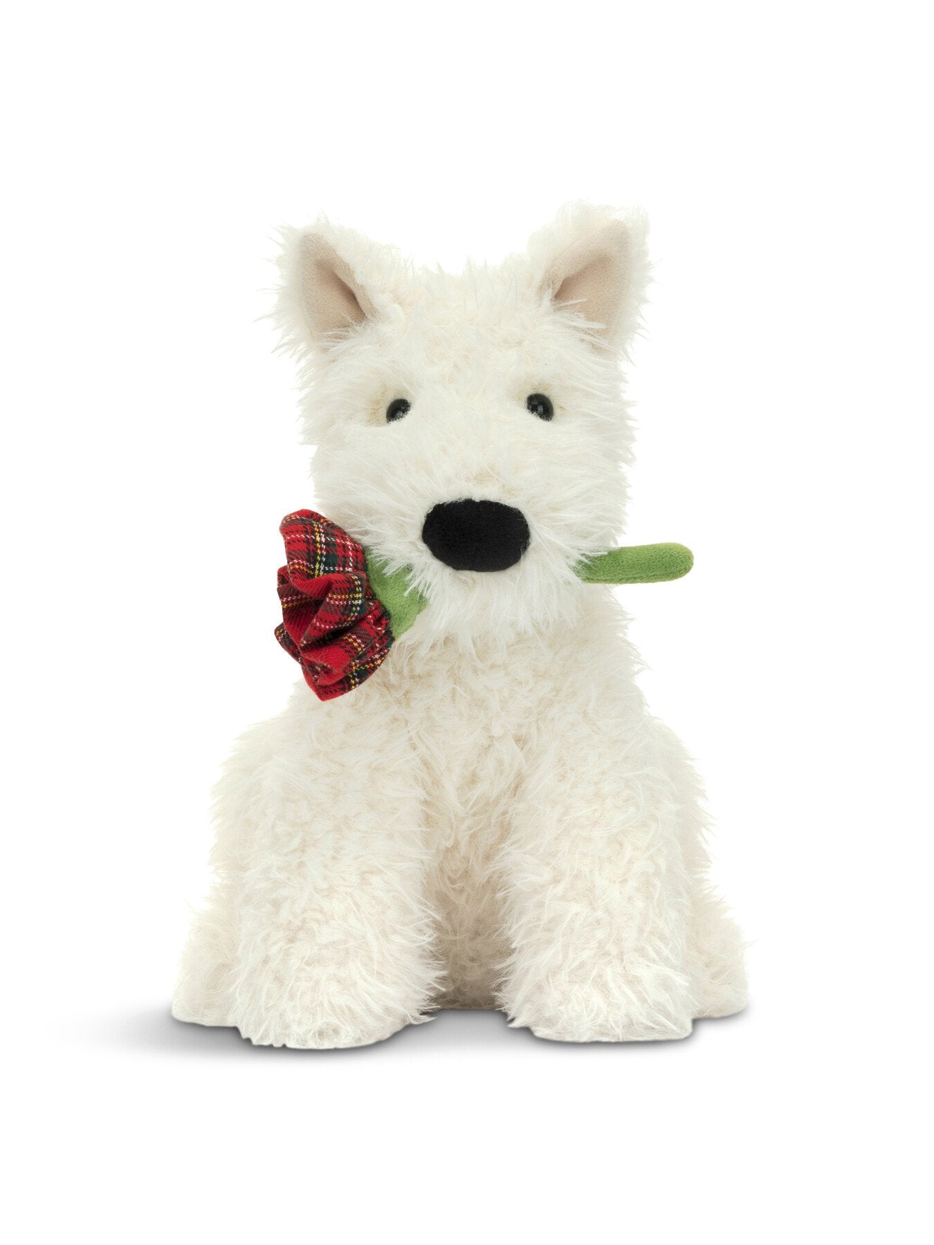 Munro Dog Holding Rose