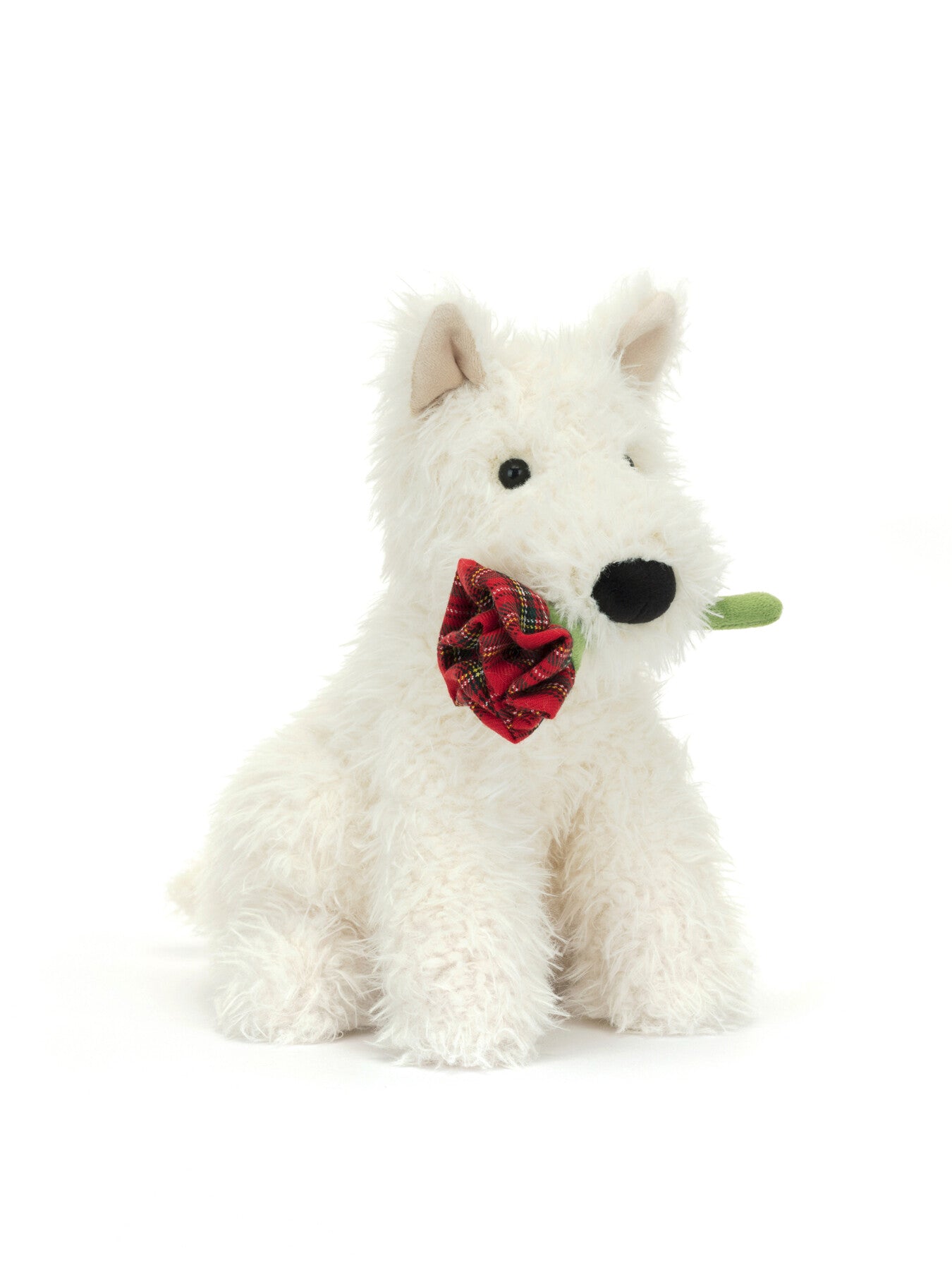 Munro Dog Holding Rose