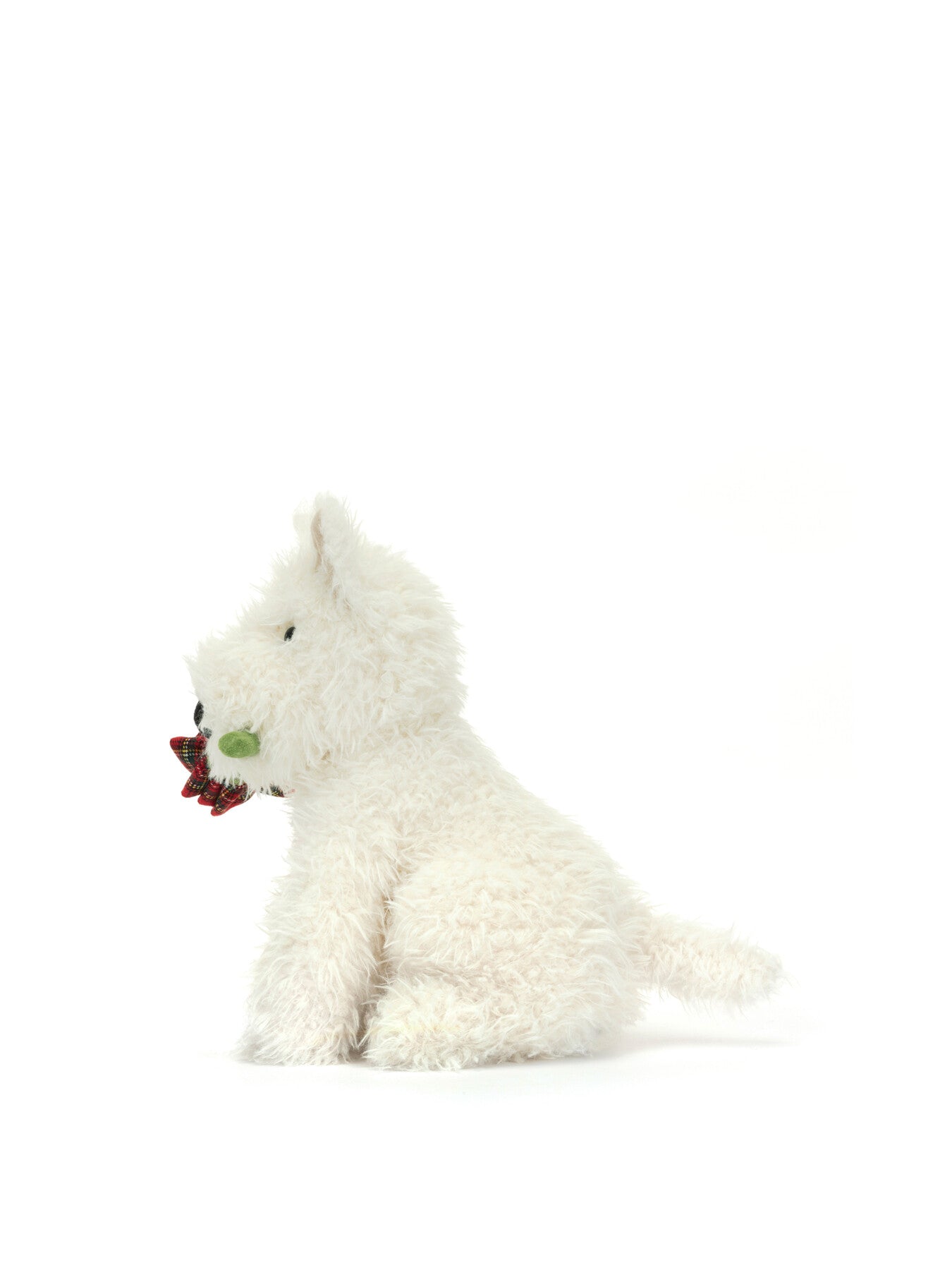 Munro Dog Holding Rose