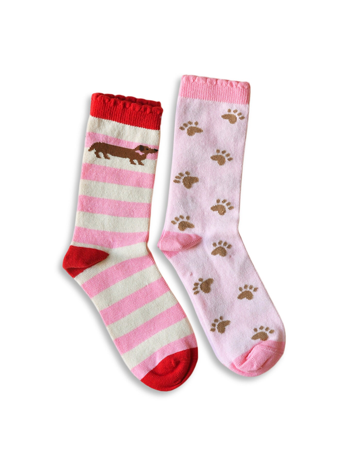 Sausage Dog 2 Pack Socks Size 12-3 Junior