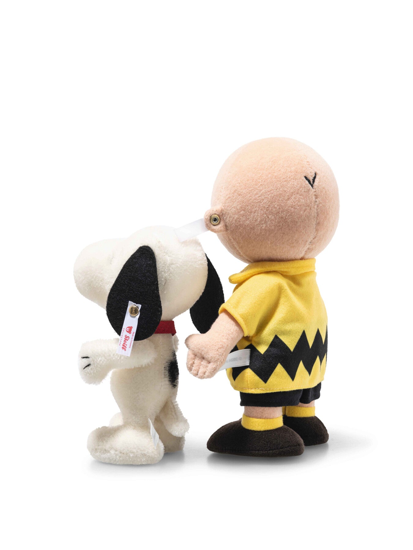 Charlie Brown With Snoopy