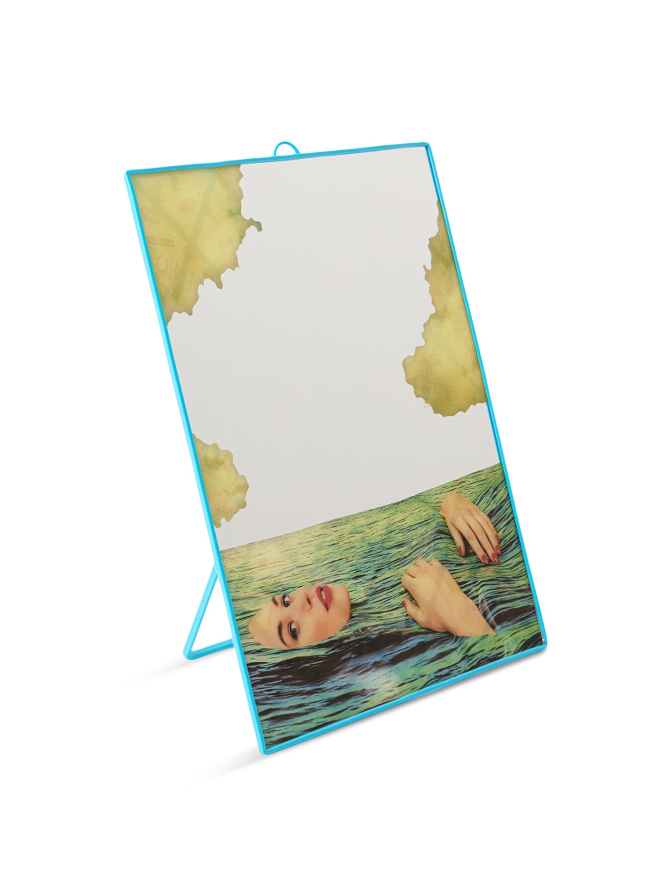 Toiletpaper Mirror