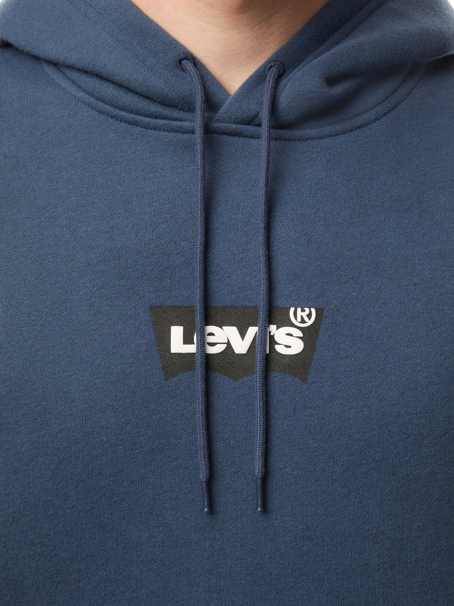 Standard Graphic Hoodie