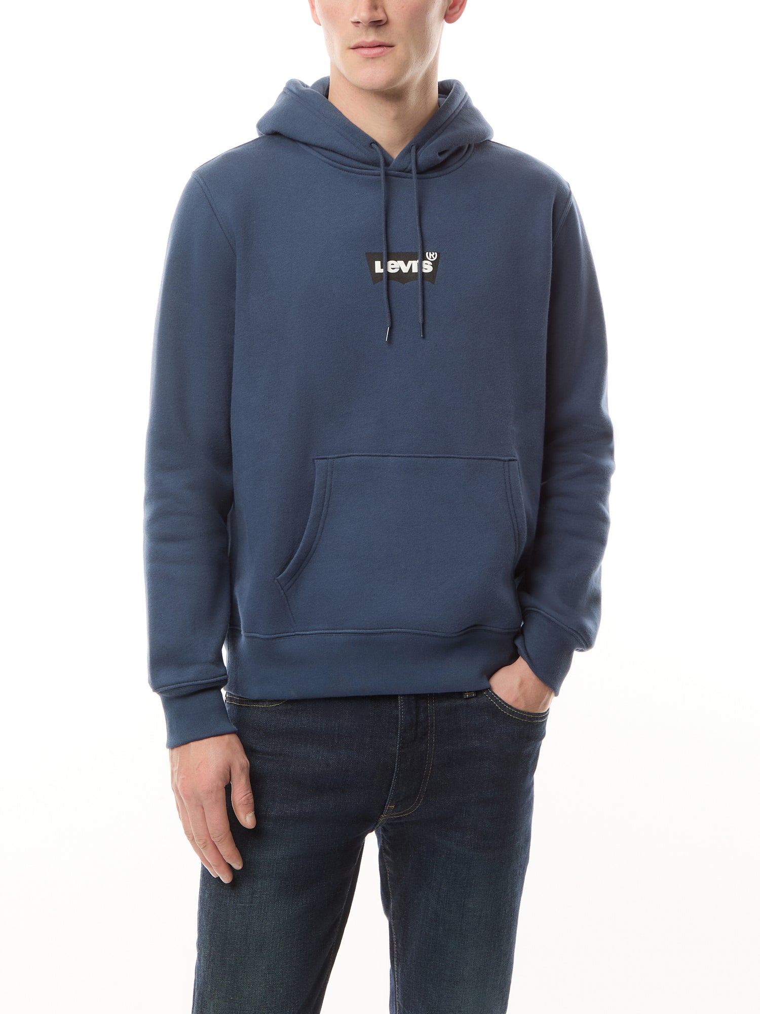 Standard Graphic Hoodie