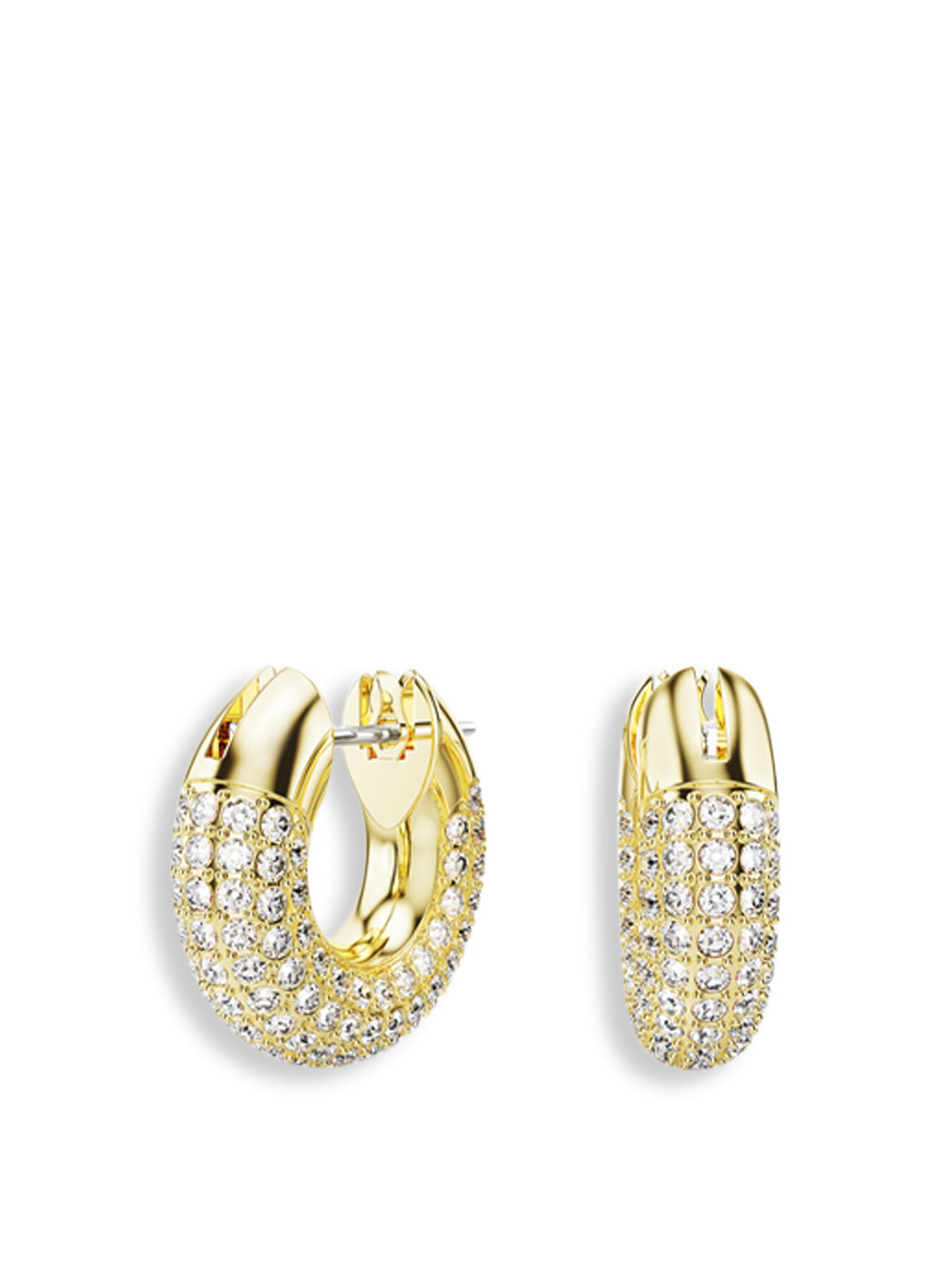 Dextera Small Hoop Earrings