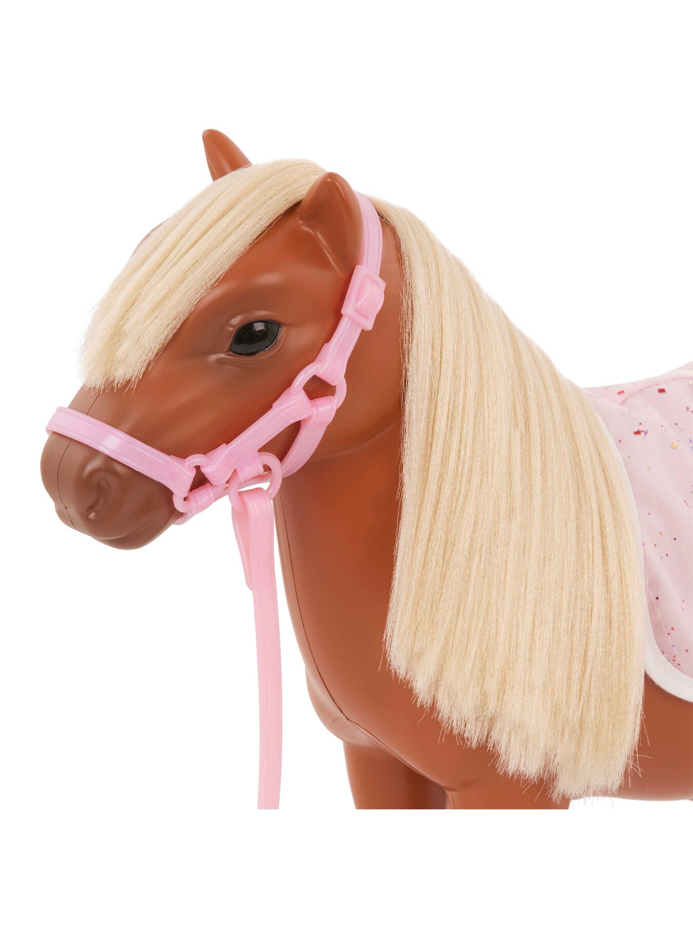 Shetland Pony with Accessories